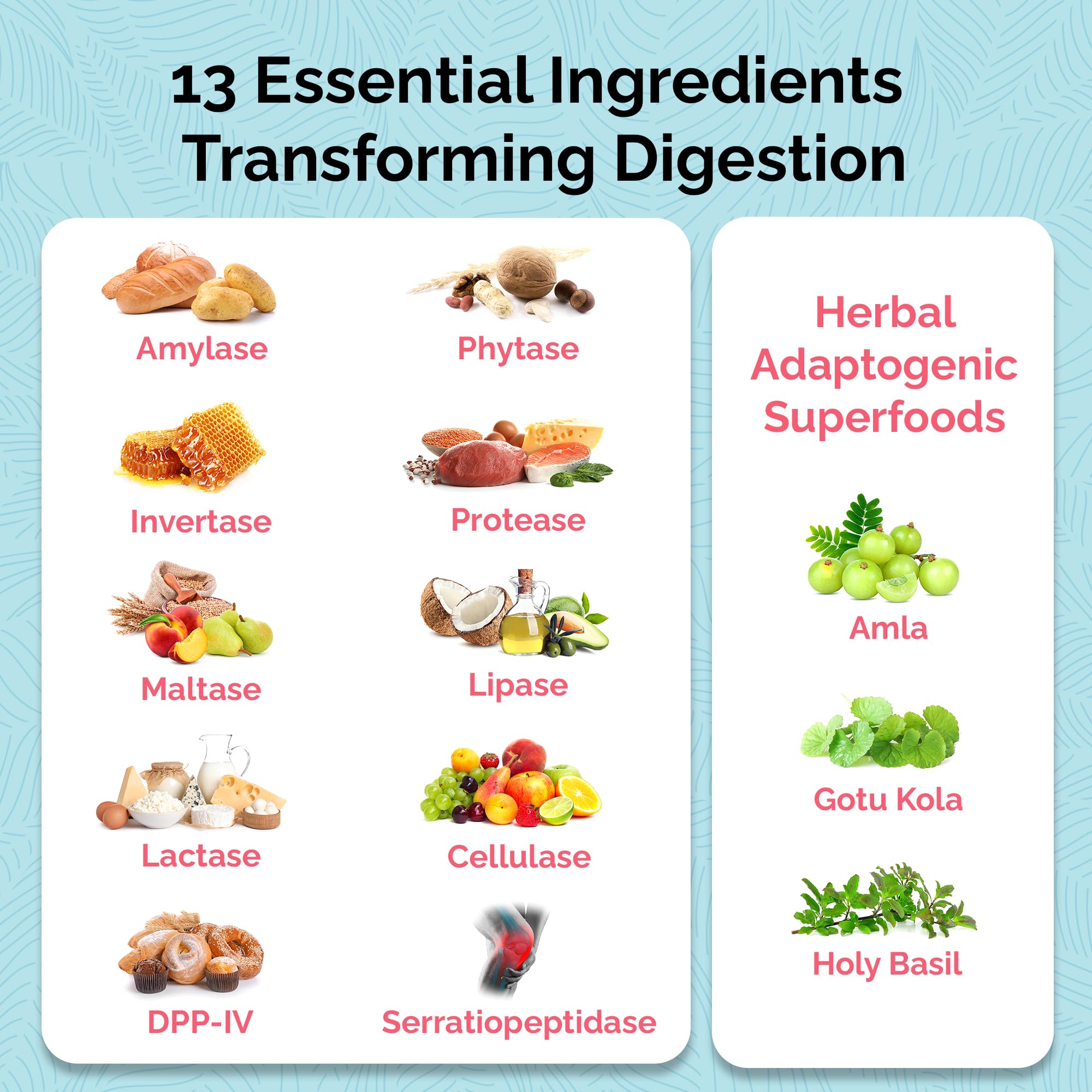 UpWellness Total Revive+ Digestive Enzymes - Broad-Spectrum Enzymes for Digestive Health - Supports Gut Health and Nutrient Absorption