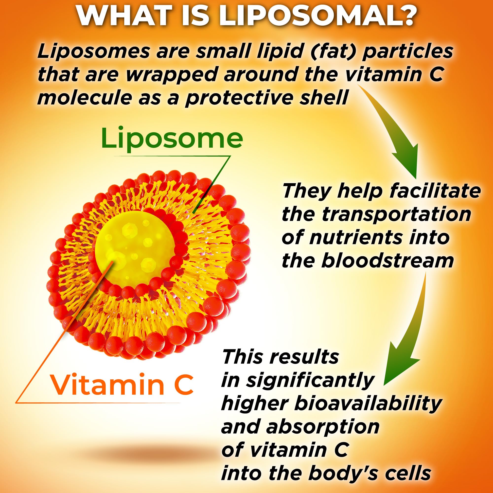 Liposomal Vitamin C Capsules - 1500mg - Made with Organic Acerola Cherries & Camu Camu, High Potency Vitamin C Liposomal - Immune Support Supplement