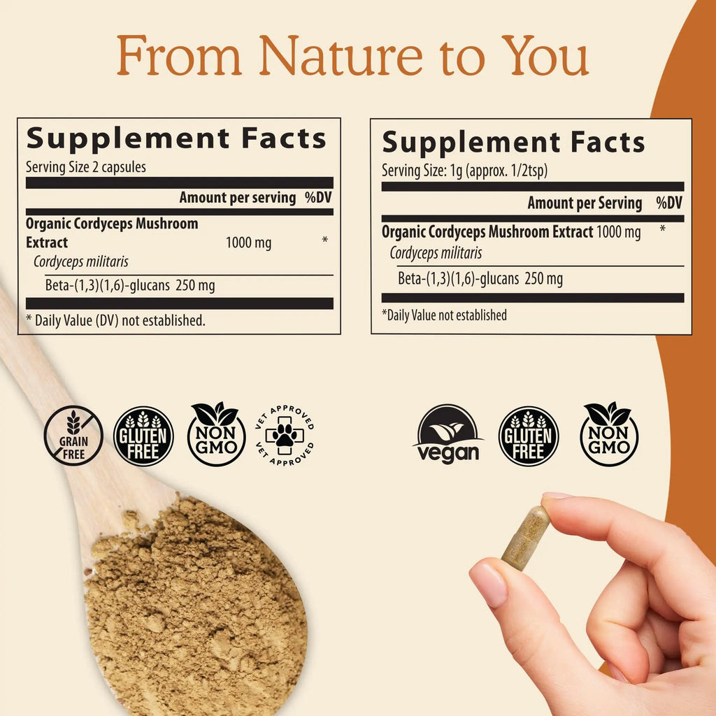 Real Mushrooms Cordyceps Capsules - Performance Mushroom Extract Supplement Real Mushrooms Au supplements