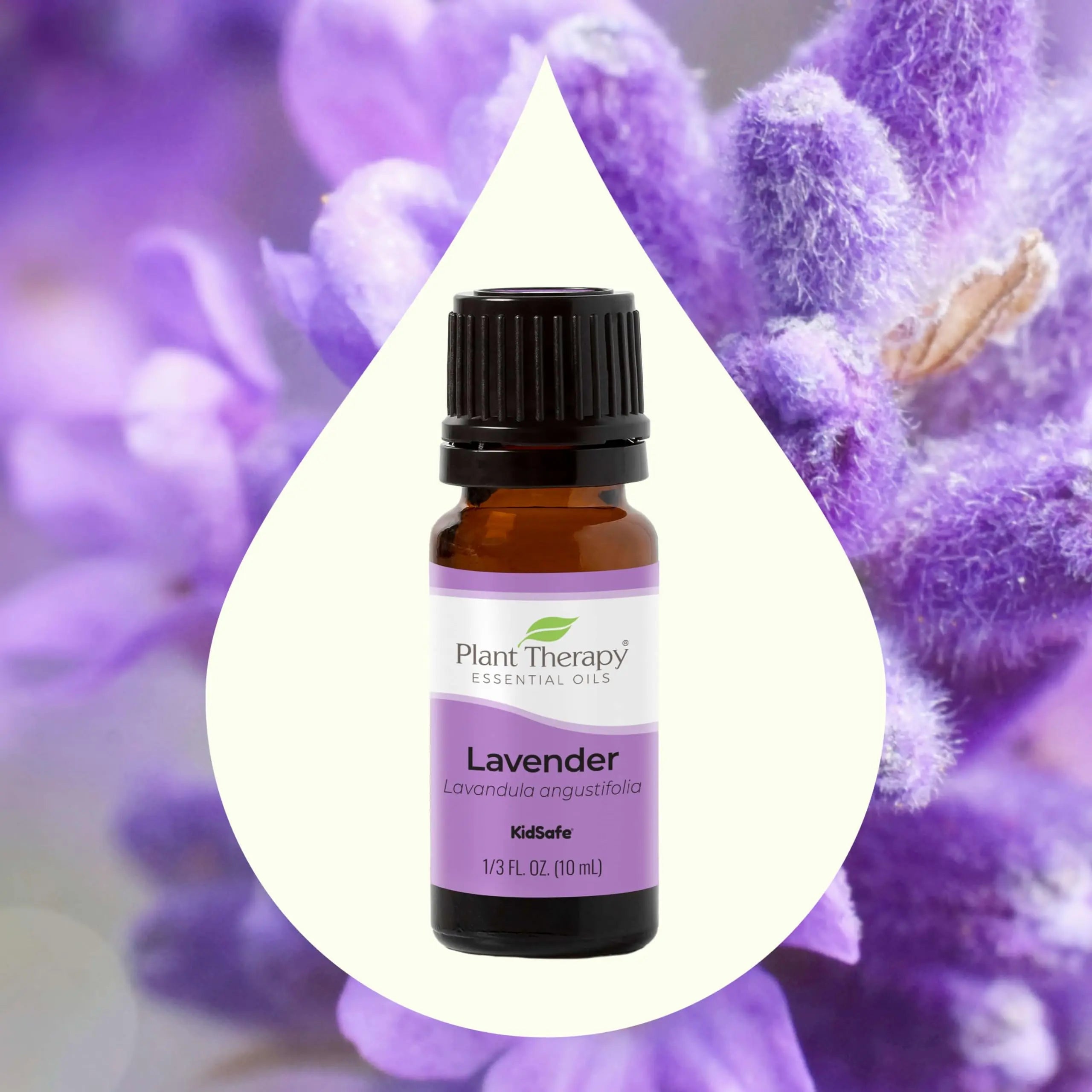 Plant Therapy Lavender Essential Oil 100% Pure, Undiluted, Therapeutic Grade, Aromatherapy Diffuser Plant Therapy Au supplements