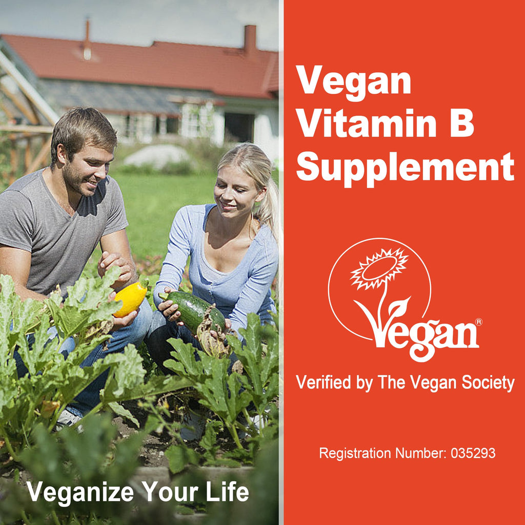 Super Methylated Vitamin B Complex Gummies - All B Vitamins + Omega-3, Magnesium, CoQ10, Ashwagandha,Vitamin C, TMG- For Women Men- Methyl B12 2000 mcg, Methylfolate
