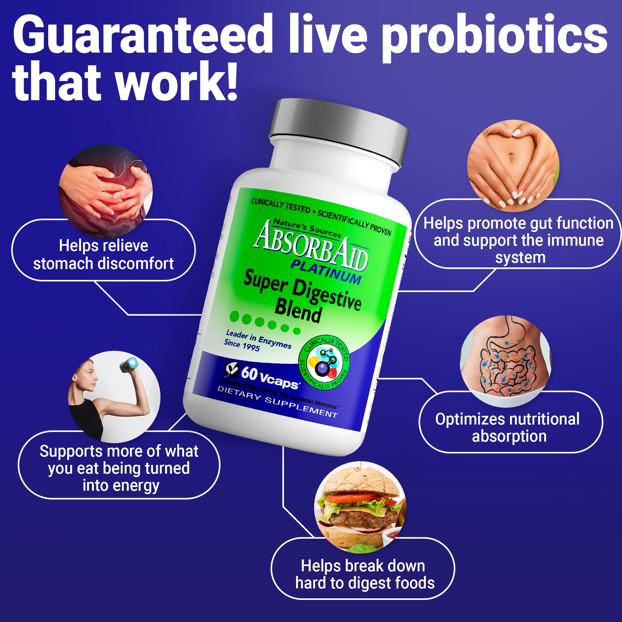 AbsorbAid Platinum Digestive Enzyme Support 60 vCaps, 12 Digestive Enzymes Plus 2 Probiotics for Maximum Relief