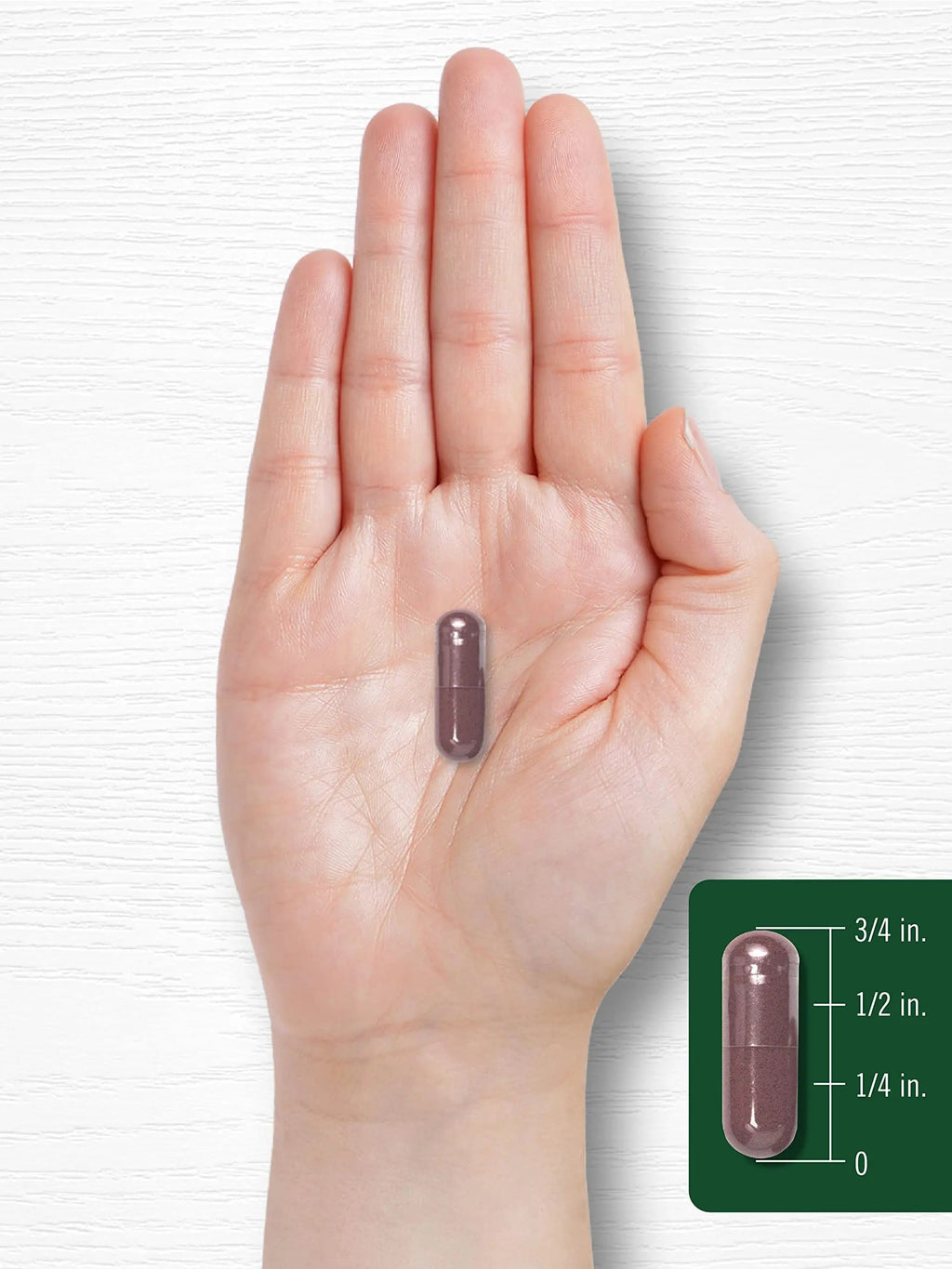 Carlyle Grape Seed Extract 4,000mg | 120 Quick Release Capsules | Standardized Extract Carlyle Au supplements