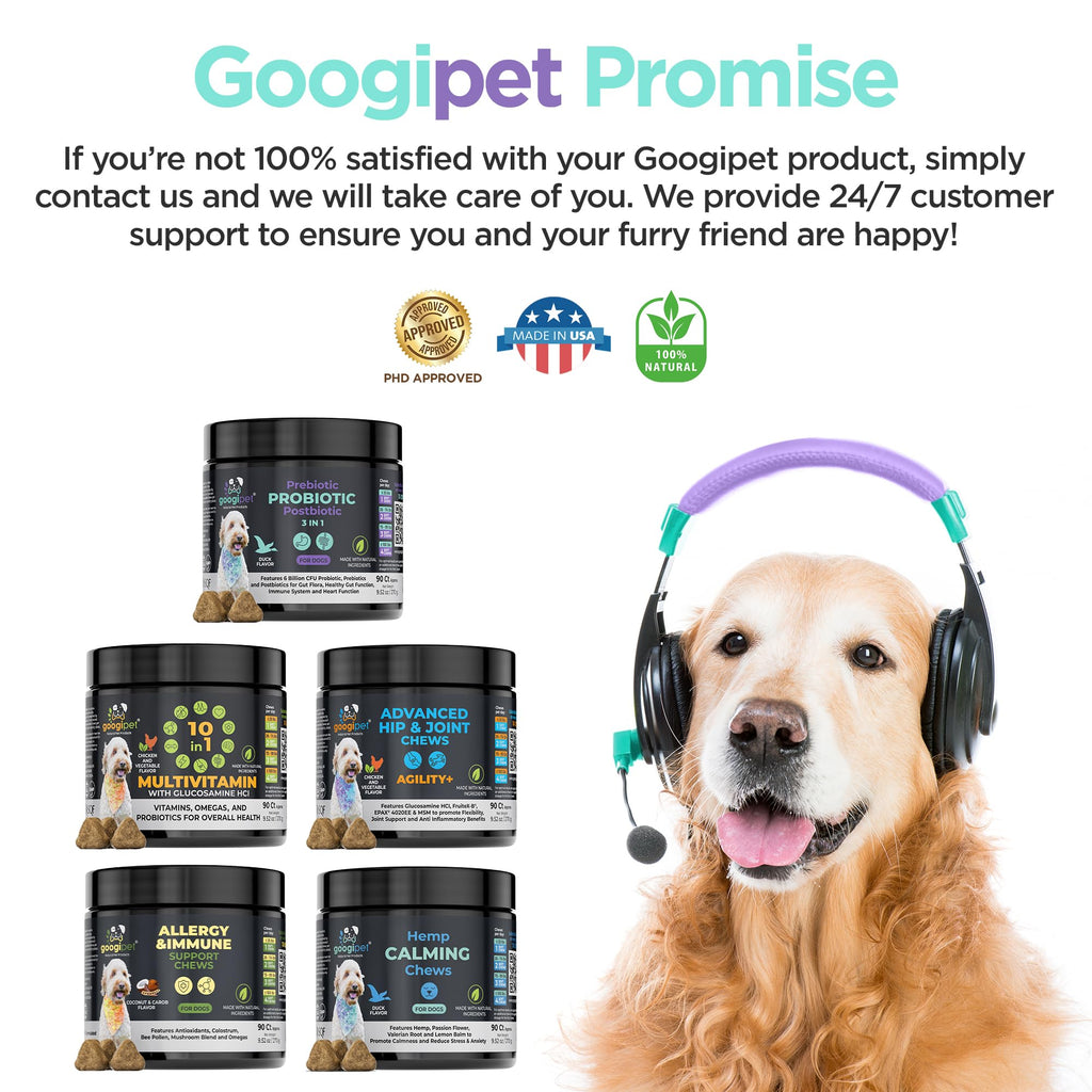Googipet Probiotics for Dogs Digestive Health - Prebiotics and Probiotics Chews for Dog Yeast Infection Treatment + Digestive Enzymes - Dog Probiotics for Itchy Skin & Ears w/Papaya, Pumpkin, & Fiber GOOGIPET NATURAL PET PRODUCTS Au supplements