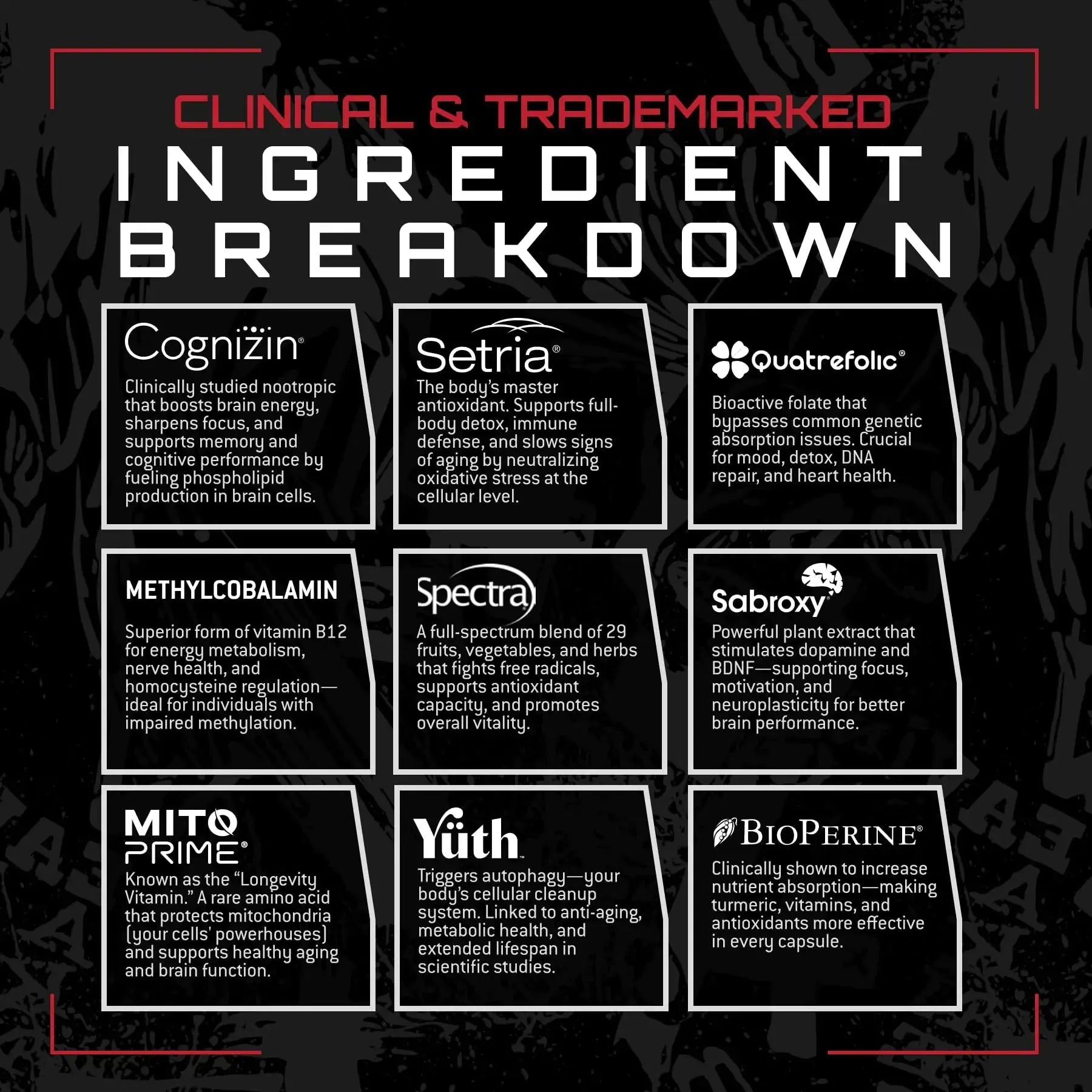 Unmatched Longevity Multi+ | Complete Daily Health Support | Methylated Vitamins & Minerals, Omega-3s, Nootropics, & Longevity Agents | Unmatched Au supplements
