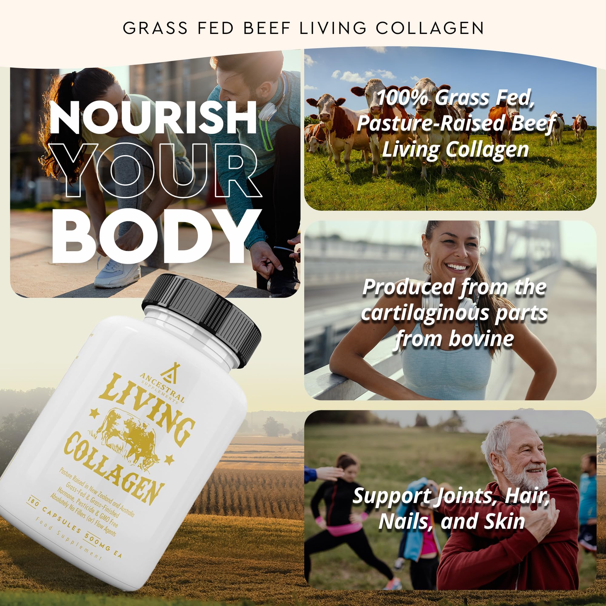Ancestral Supplements Grass Fed Beef Living Collagen Nutritional Powder Supplement, 3000mg, Promotes Healthier, Younger Looking Skin, Hair