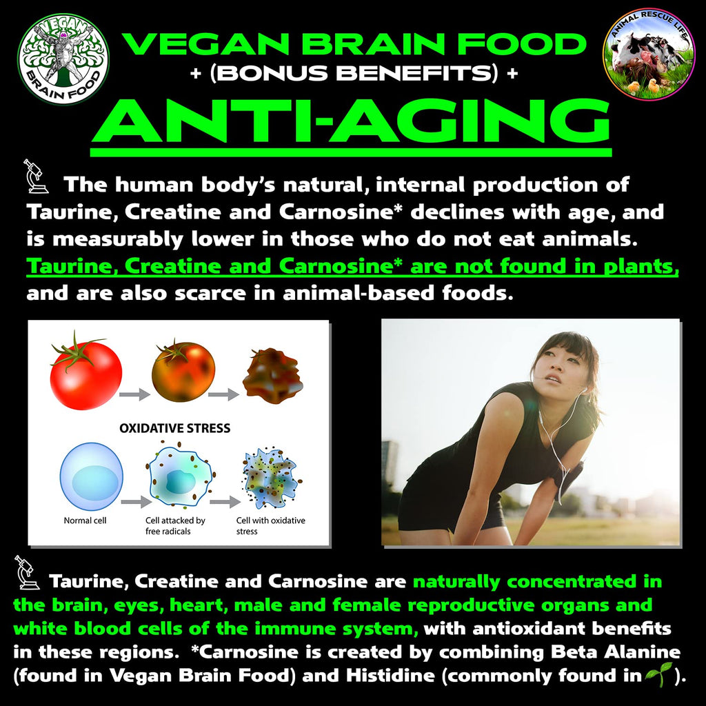 Vegan Brain & Body Boost: The Cherry On Top of A Plant-Based Lifestyle | Working Intelligence | Anti-Aging | Physical Fitness | Vegan Amino Acids - Creatine, Taurine & Beta Alanine | 40 Servings/300g Vegan Brain Food Au supplements