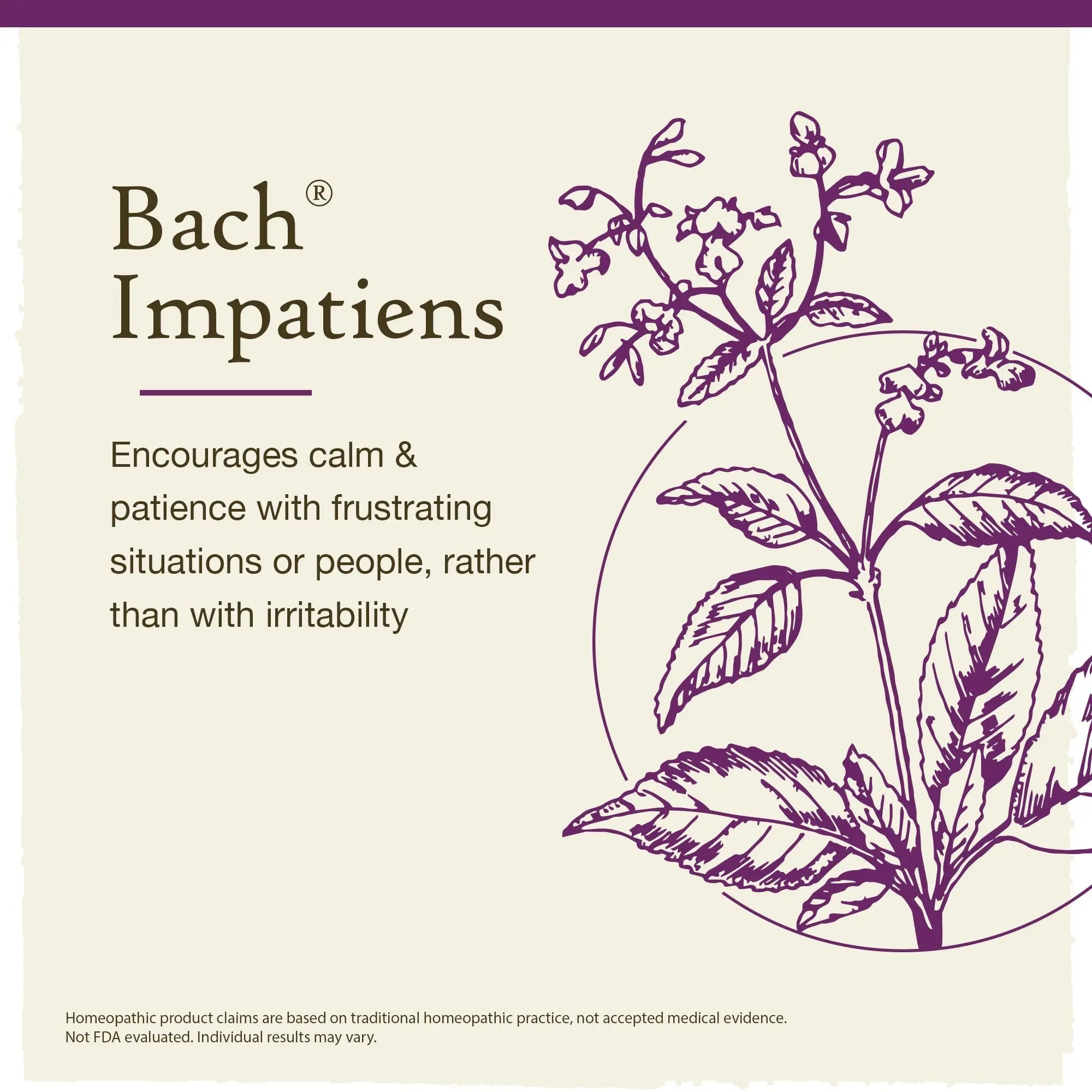 Bach Original Flower Remedies, Impatiens for Patience (Non-Alcohol Formula), Natural Homeopathic Bach Au supplements