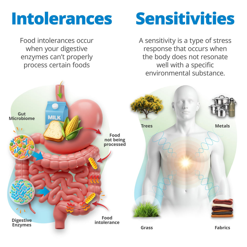 5Strands Food Intolerance & Environmental Sensitivity Test for Adults & Children, 950 Items Tested, Kids Intolerance Testing Kit, at Home Gut Health Assessment, Fast 4 Day Results 5Strands Au supplements