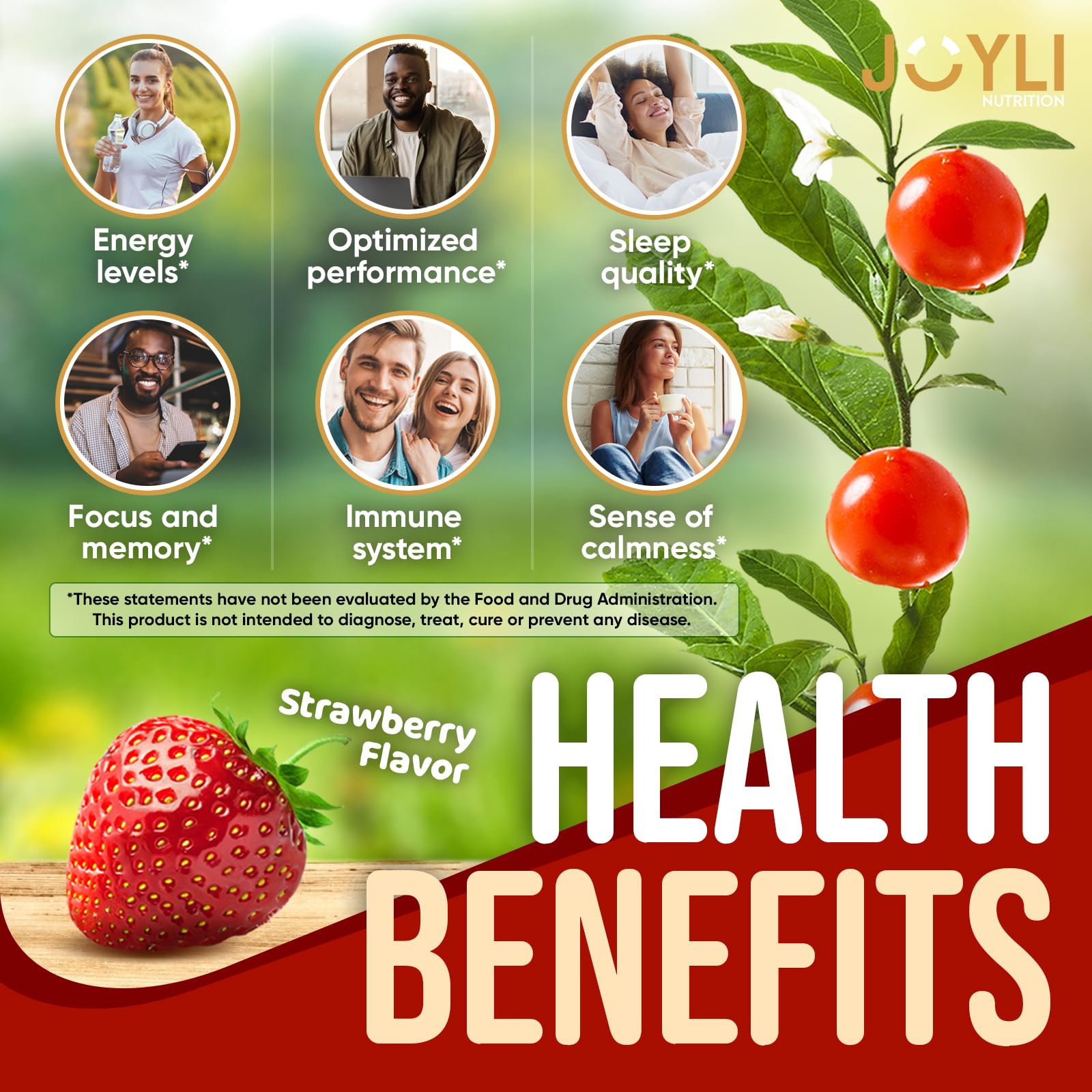 Ashwagandha Gummies for Women & Men - Natural Calm Gummies with Ashwagandha Root Extract Vitamin C Zinc - Ashwagandha Herbal Supplement for Sleep Stress Balance - 60 Vegan Sugar Free Chews JOYLI Nutrition Au supplements
