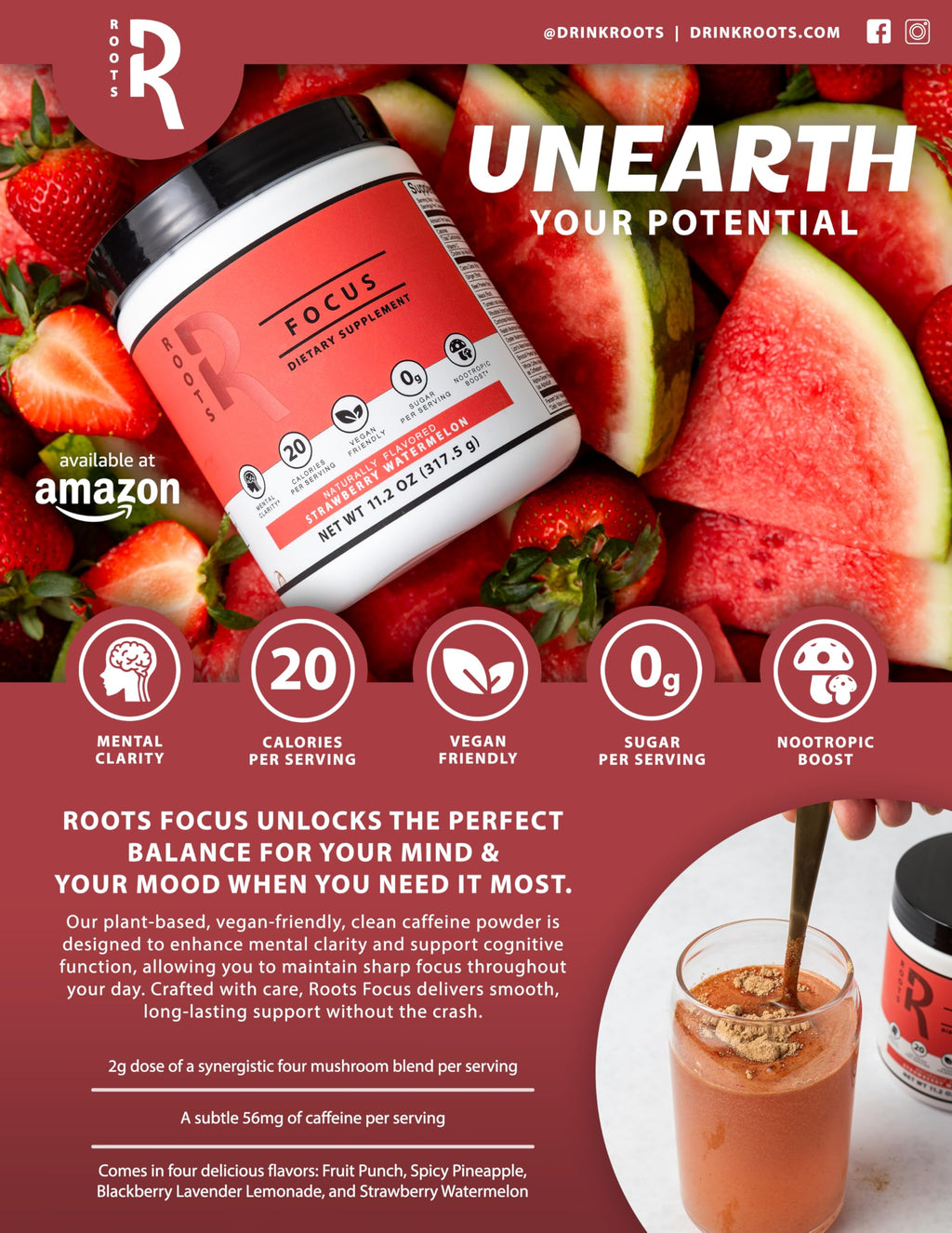 Roots Focus Brain Supplement - Nootropic Mushroom Supplement Powder for Memory, Focus, Energy - Lion's Mane, Cordyceps, Reishi Mushrooms with Caffeine - Blackberry Lemonade, 11.6oz Tub (50 Servings) Silver Star Nutrition Au supplements