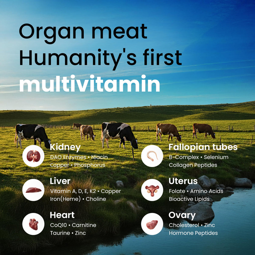Beef Organ Supplement for Women – Grass Fed Liver, Uterus, Ovary, Heart, Kidney – 30+ Nutrients to Support Hormone Balance, Cycle Health, Energy, Immunity