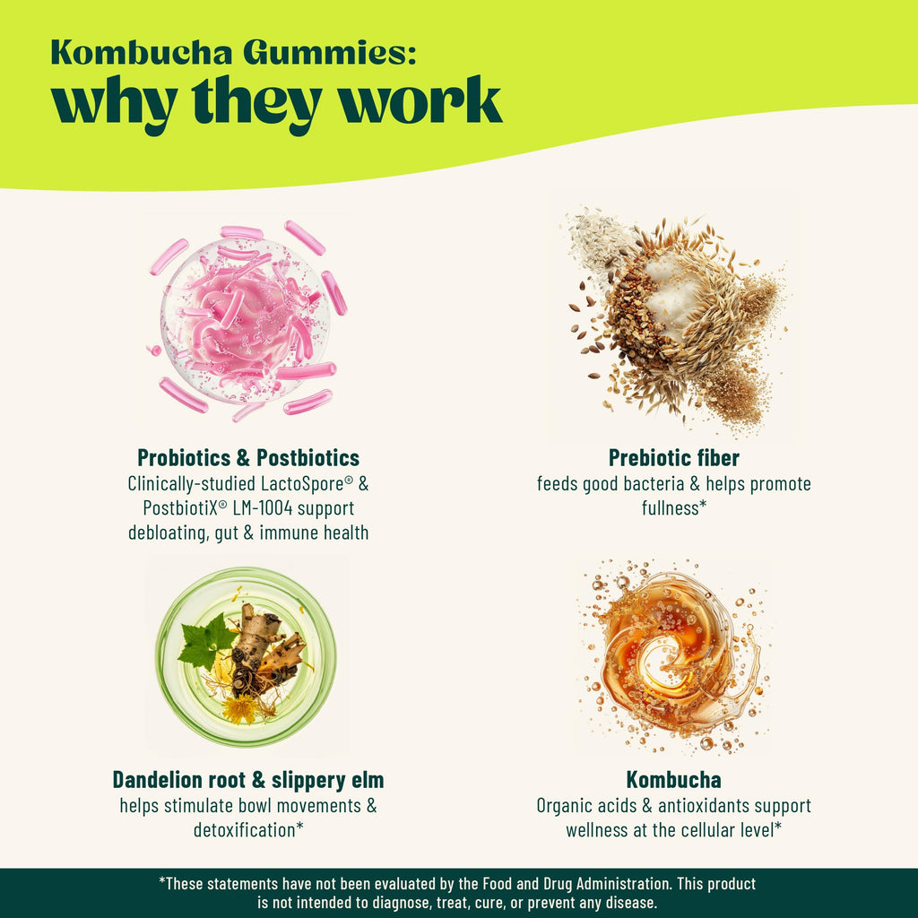 BoochBod - Probiotic Kombucha Gummy - Prebiotics, Probiotics, Postbiotics, Fiber Supplement, Slippery Elm, Dandelion Root