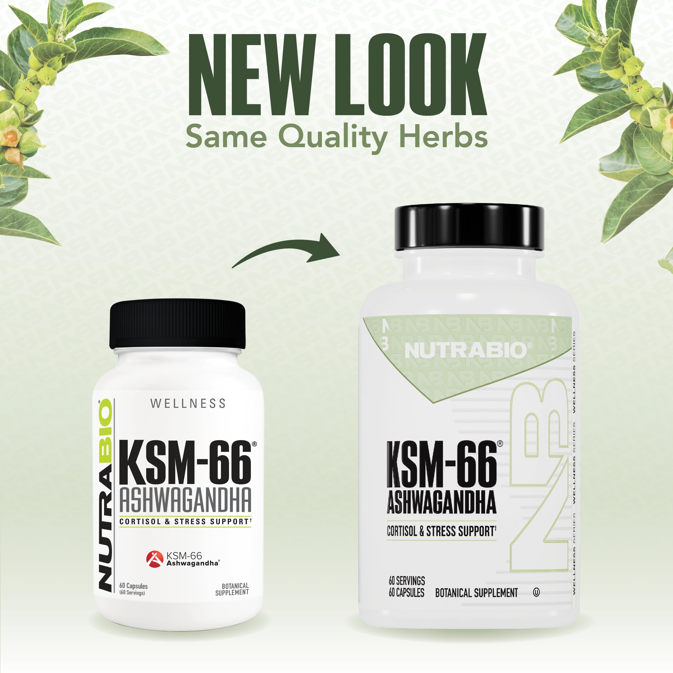 NutraBio Ashwagandha KSM-66 | Ashwagandha Herbal Supplement for Stress, Mood, & Performance | 600 MG of Clinically Studied KSM66 60 Capsules NutraBio Au supplements