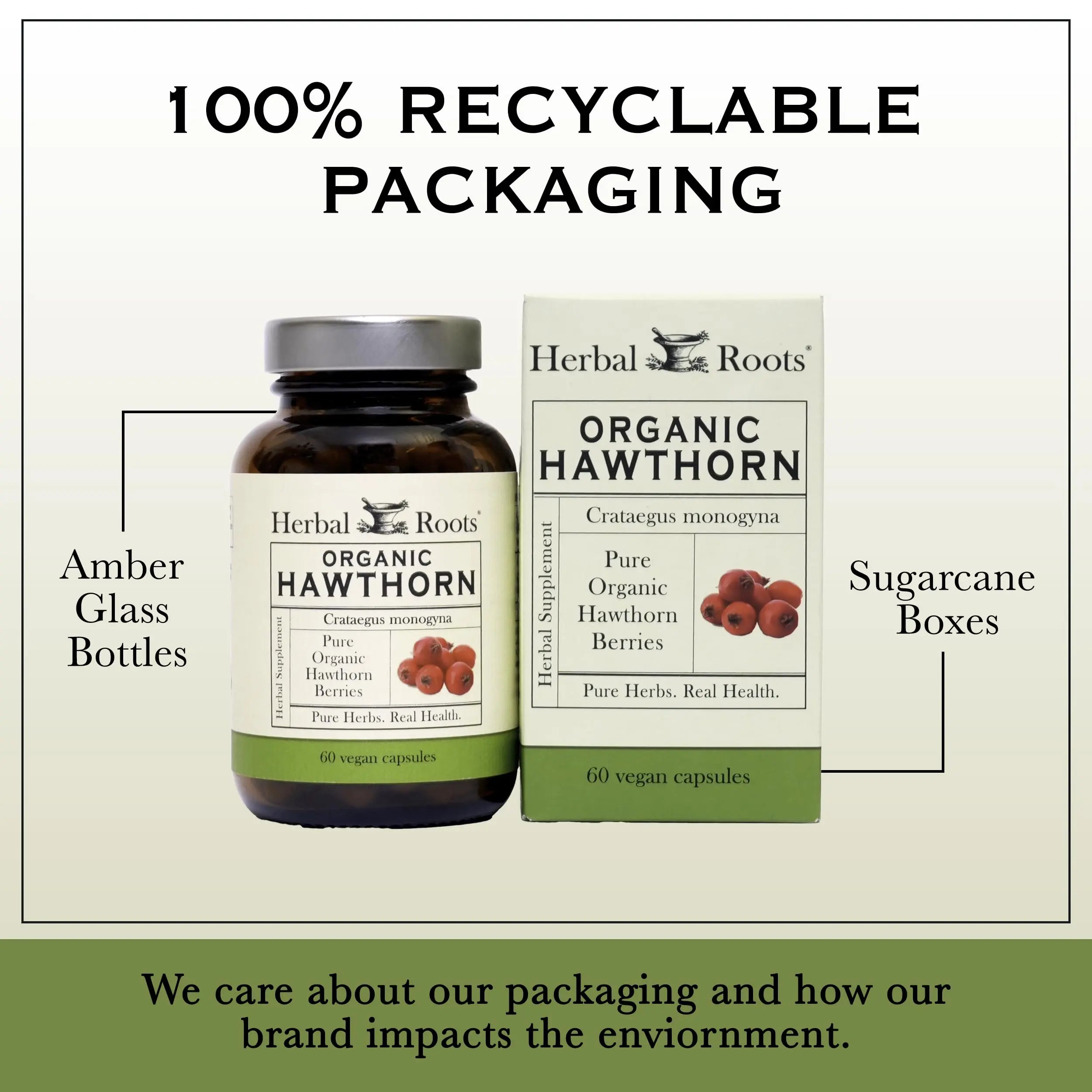Herbal Roots Organic Hawthorn Berry Capsules | Extra Strength 1,200mg per Serving | 60 Vegan Capsules Herbal Roots Au supplements