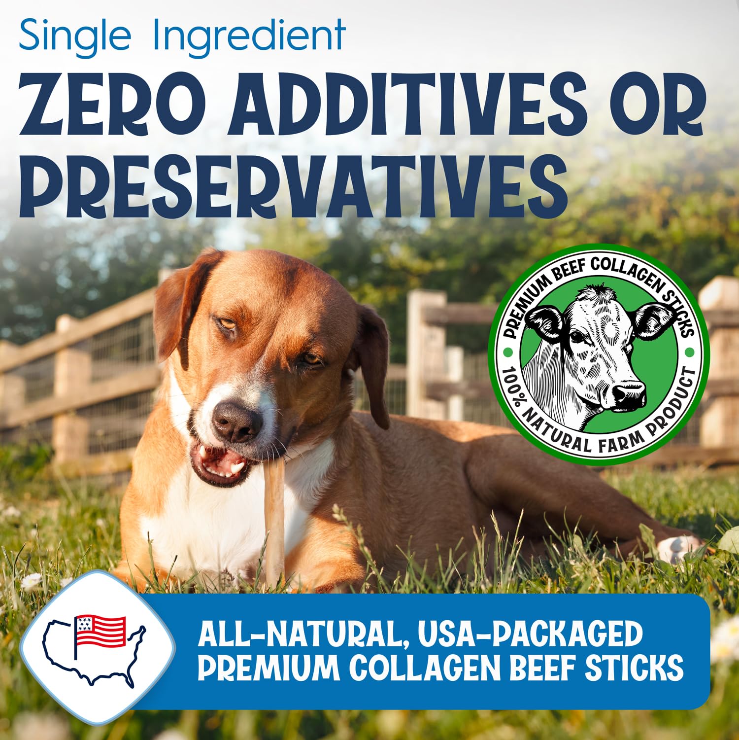 FETCHERONI 12" Collagen Sticks for Dogs – Low Odor Long-Lasting Bully Stick & Rawhide Alternative, Single Ingredient Beef Bone, High Protein Dental Treat, Vet Approved, Improves Joint Health – 5 Pack FETCHERONI Au supplements