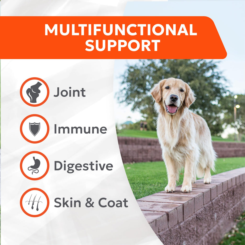 Nutramax Cosequin Joint Health Supplement with Multifunctional Support for Dogs, Soft Chews with Glucosamine, Chondroitin, Omega-3s, and Postbiotics, 90 Count Nutramax Laboratories Au supplements