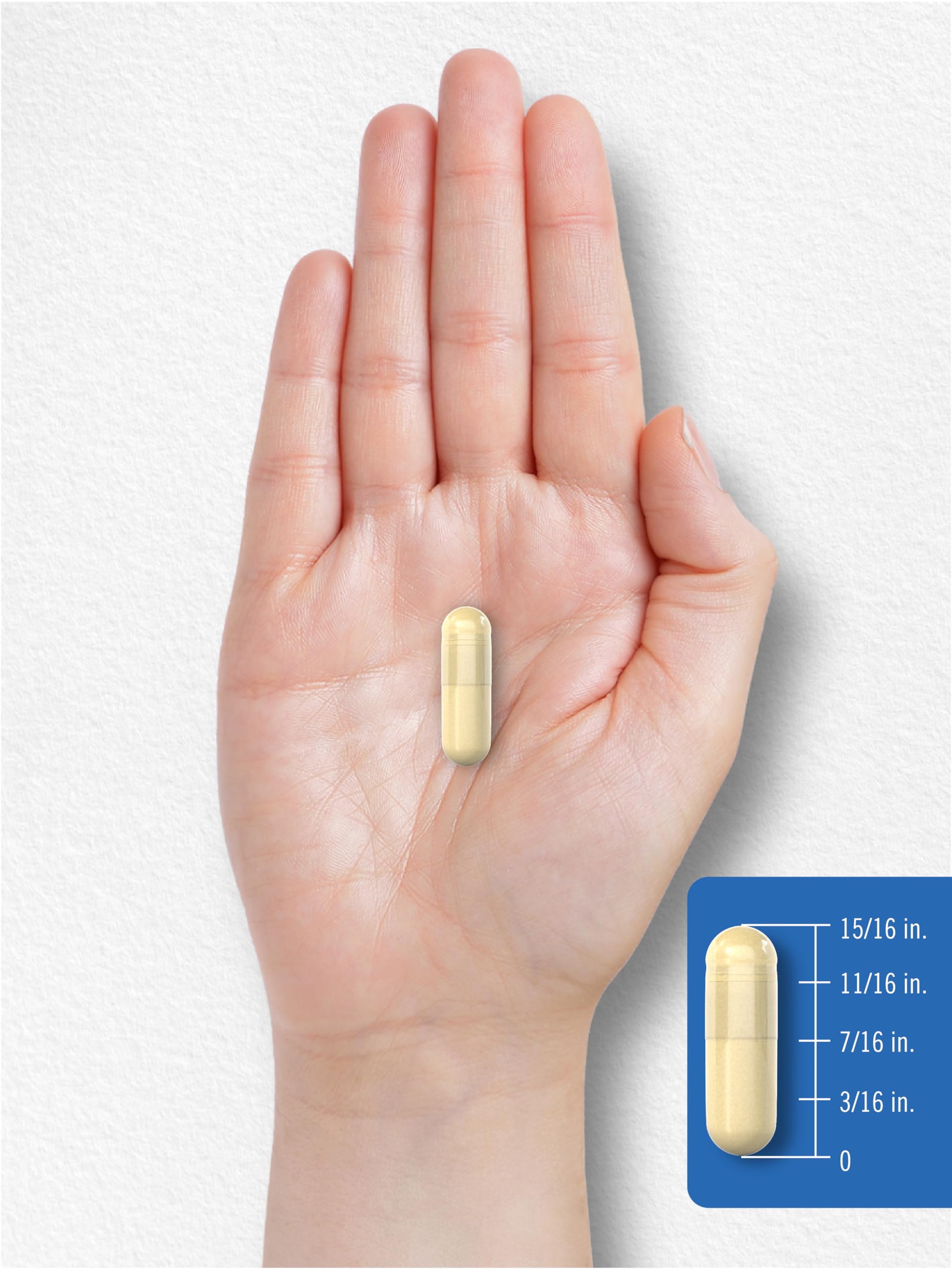 Carlyle Multi Collagen Protein Capsules 2000mg | 300 Count | Type I, II, III, V, X | Collagen Peptide Pills | Keto & Paleo Friendly