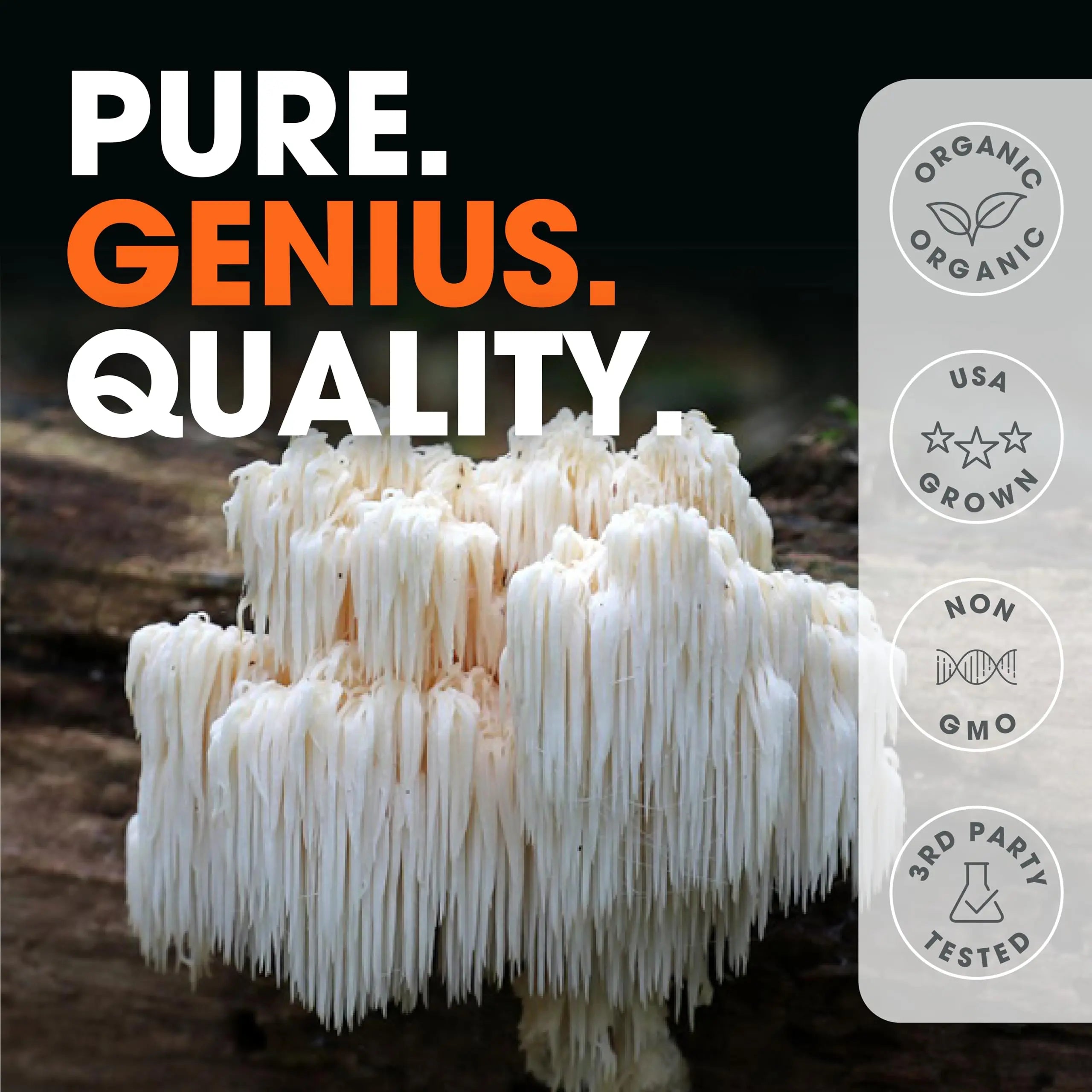 Genius Lions Mane Supplement Capsules - Organic Nootropic Supplement, 1200mg per The Genius Brand Au supplements