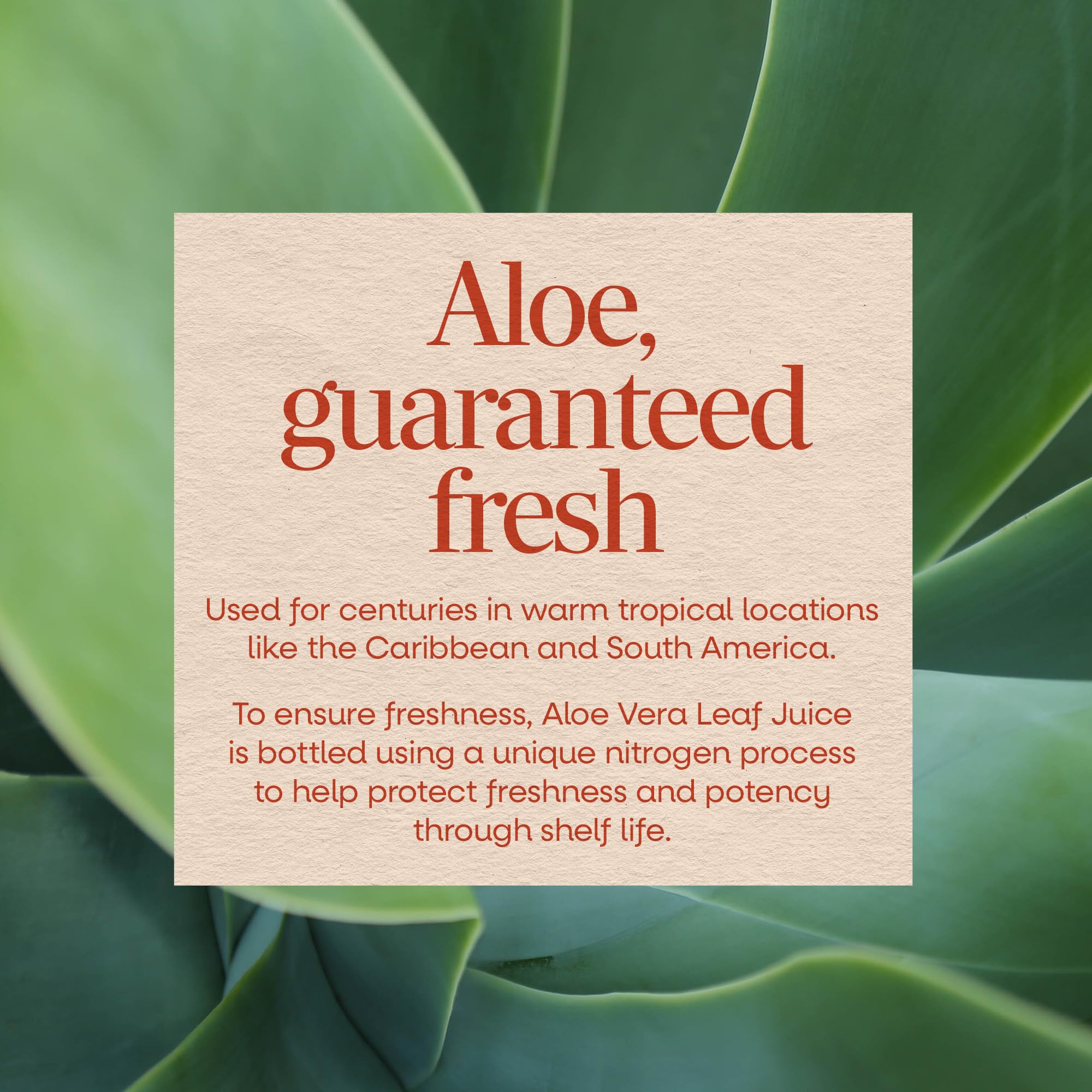 Nature’s Way Aloe Vera Leaf Juice, Flavorless Juice 99.5% Purified from Concentrate, Certified by The International Aloe Science Council,