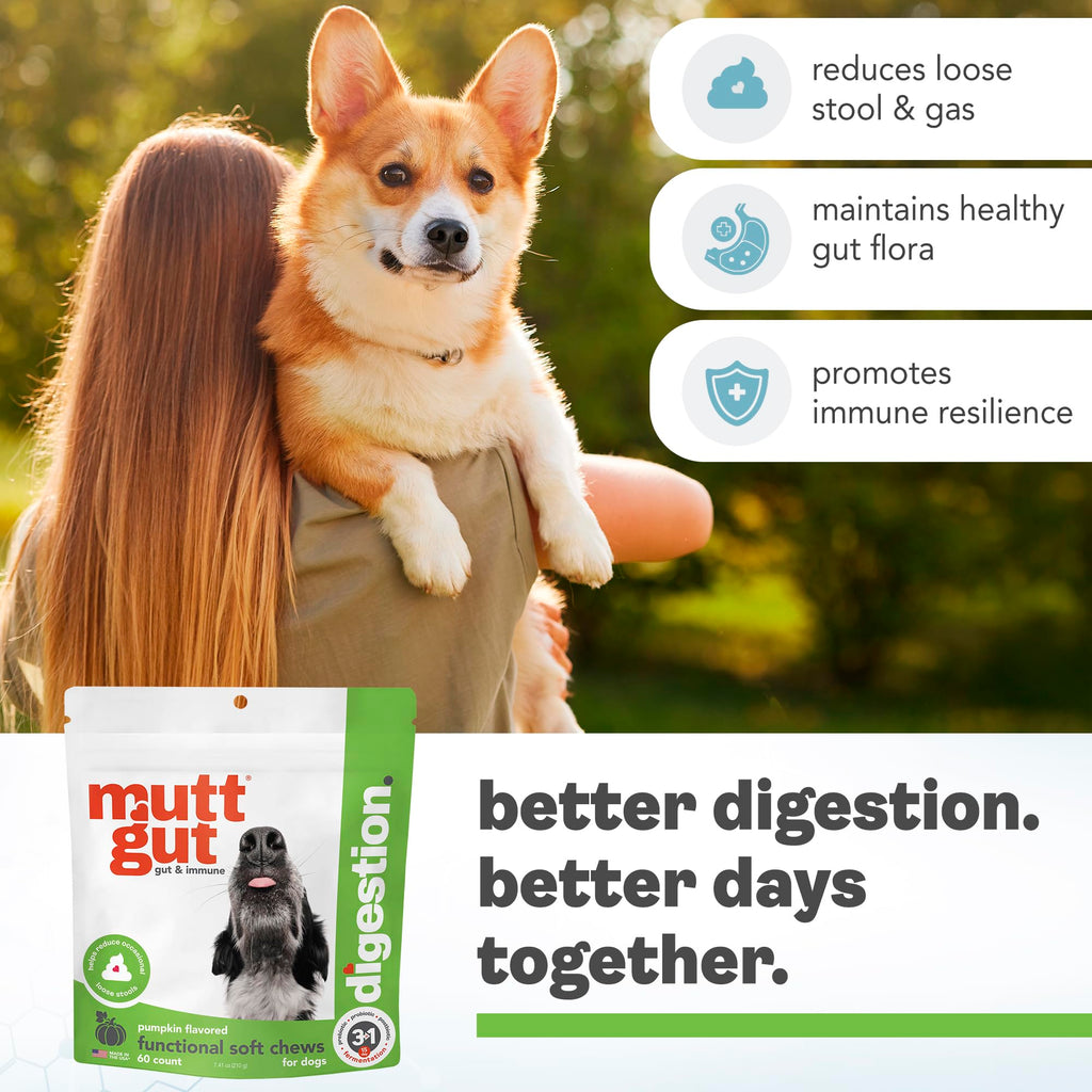 MuttGut® 3-in-1 Puppy & Dog Probiotics + Prebiotics + Postbiotics Chews - Promotes Digestive Health, Supports Immune System and Overall Health - Dog Diarrhea Relief & Immune Support - 60 Soft Chews MUTTGUT Au supplements
