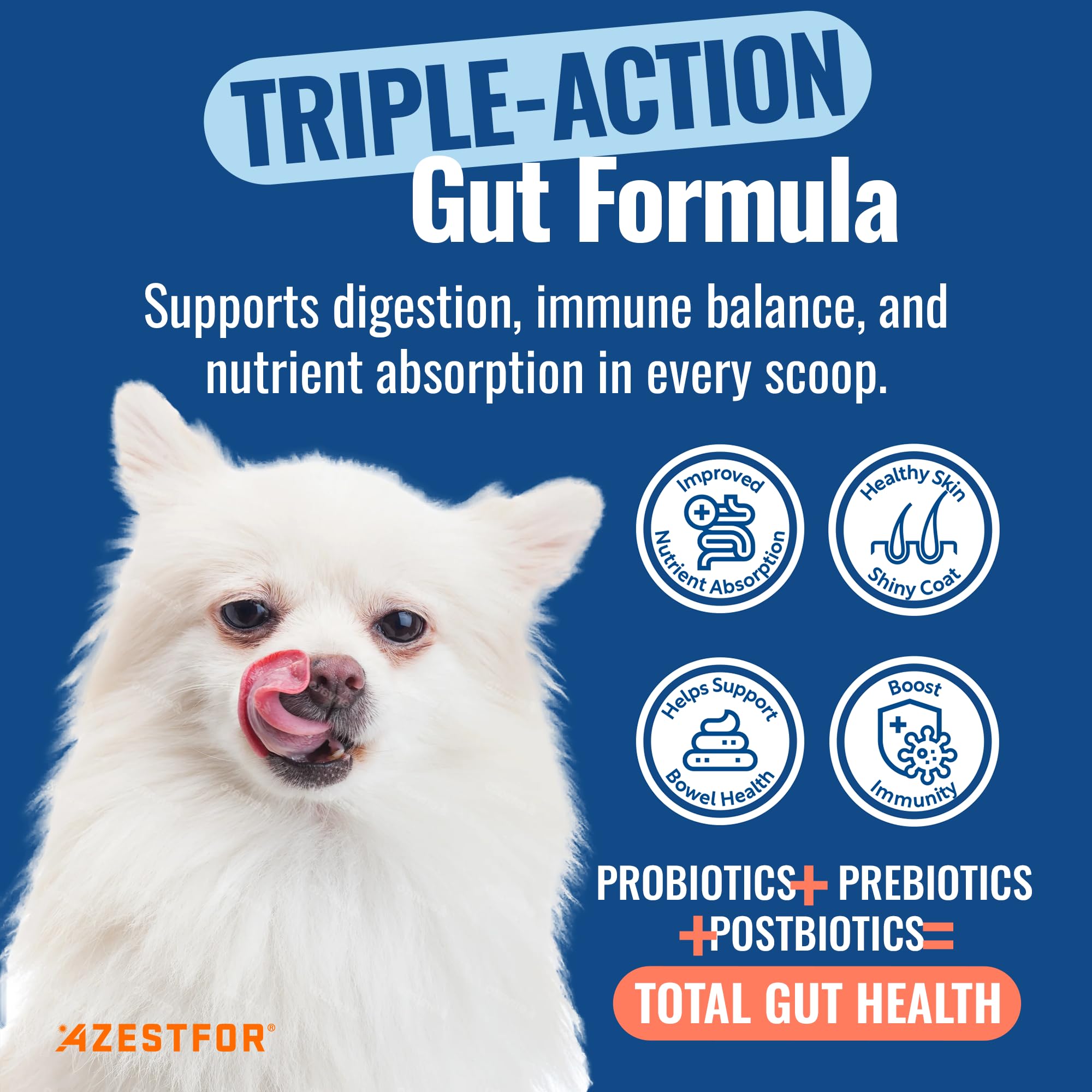 Azestfor Gut Health Supplement for Dogs – 3 in 1 Probiotic, Prebiotic & Postbiotic Blend – Supports Digestion, Immunity & Skin – Easy-to-Use Powder – for All Breeds & Sizes – 60g (30 Servings) Azestfor Au supplements