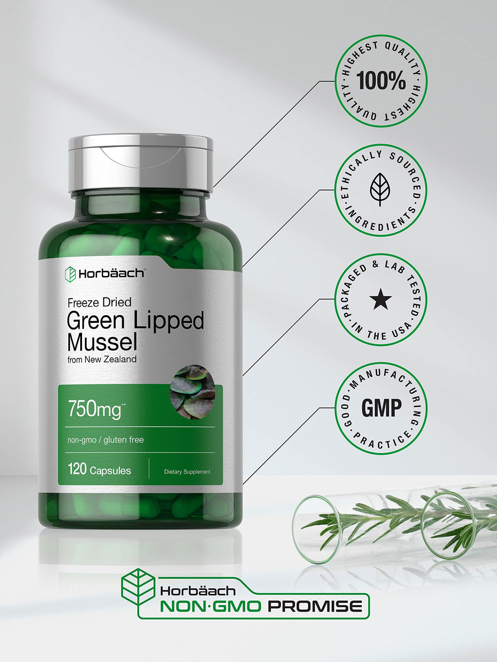Horbäach Green Lipped Mussel |120 Capsules | from New Zealand | Premium Freeze Dried Mussel Powder