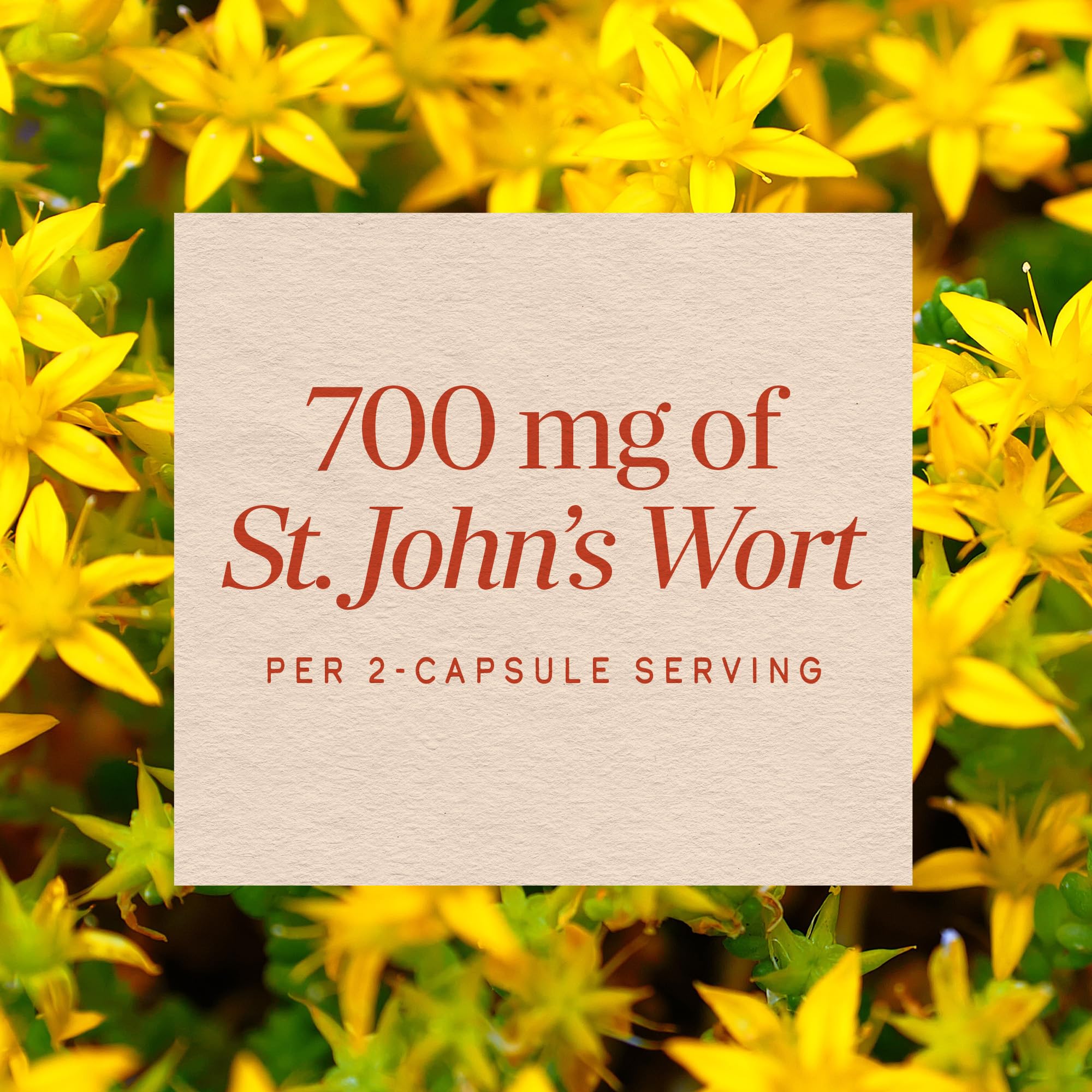 Nature’s Way St. John’s Wort Capsules, Herbal Supplement Promotes a Positive Outlook*, 700 mg per 2-capsule serving
