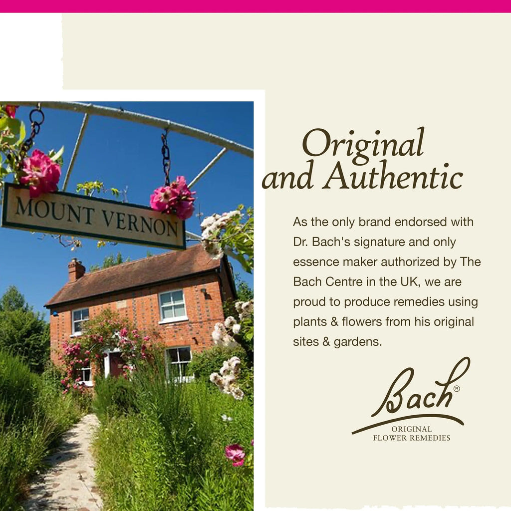 Bach Original Flower Remedies, Pine for Self Respect, Natural Homeopathic Flower Essence Bach Au supplements