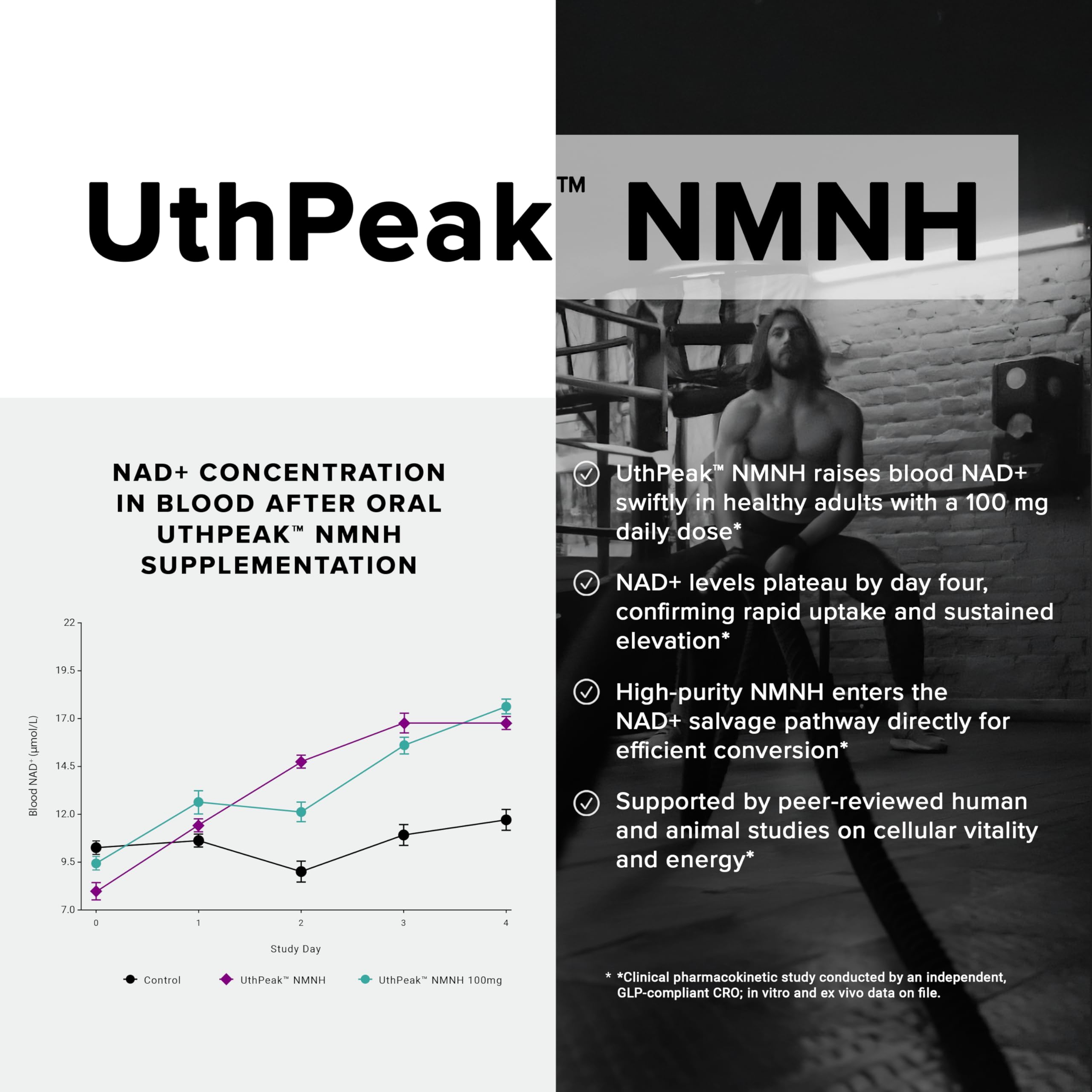 Toniiq NMNH Supplement – Ultra High Potency 1,000mg Complex with Clinically Studied Uthpeak™ NMNH, Resveratrol, Quercetin & TMG – Highly Purified – Third-Party Lab Tested – 60 Capsules Toniiq Au supplements