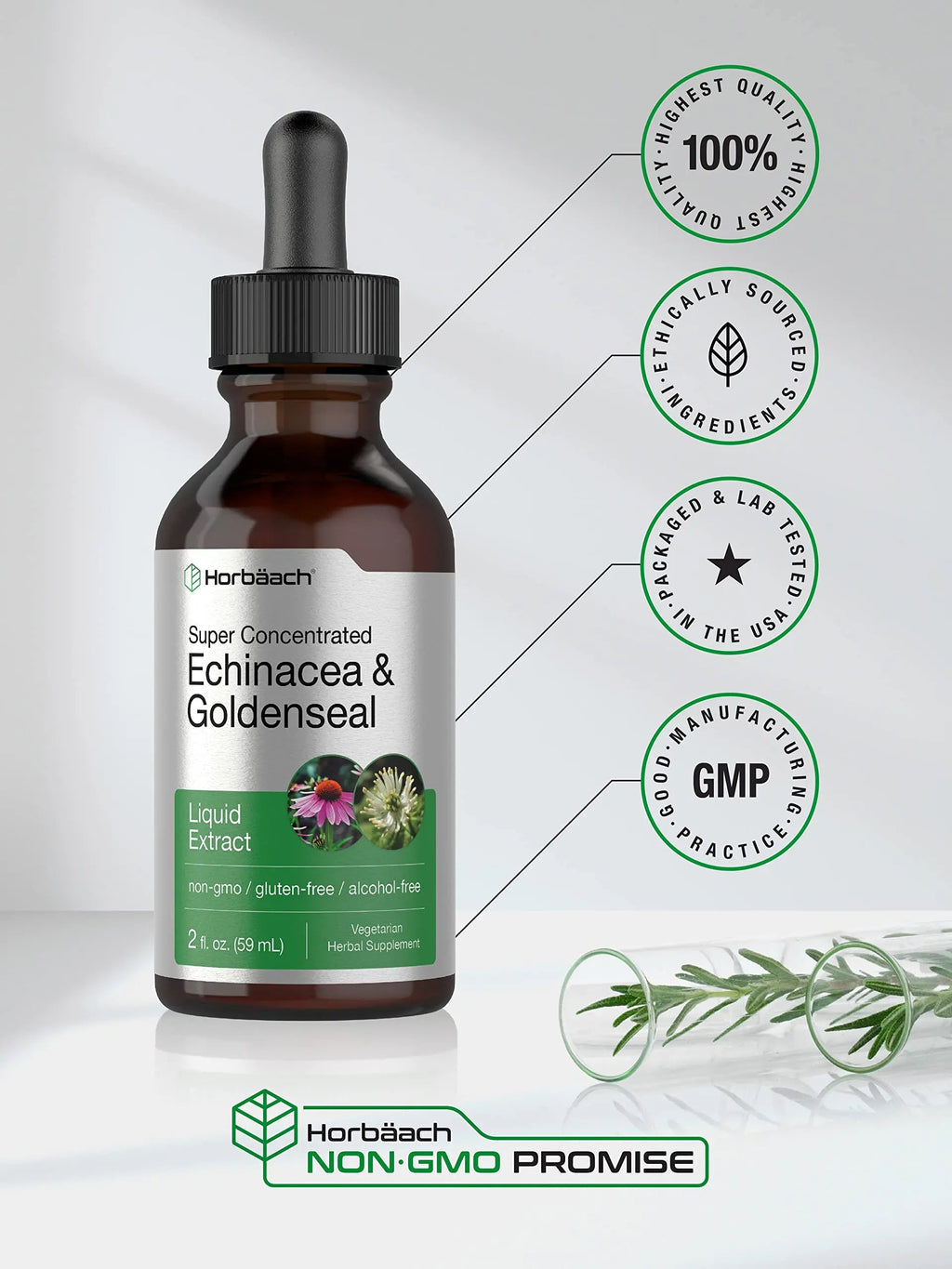 Echinacea Goldenseal Liquid Extract | 2 fl oz | Alcohol Free Tincture Drops | Vegetarian Horbäach Au supplements