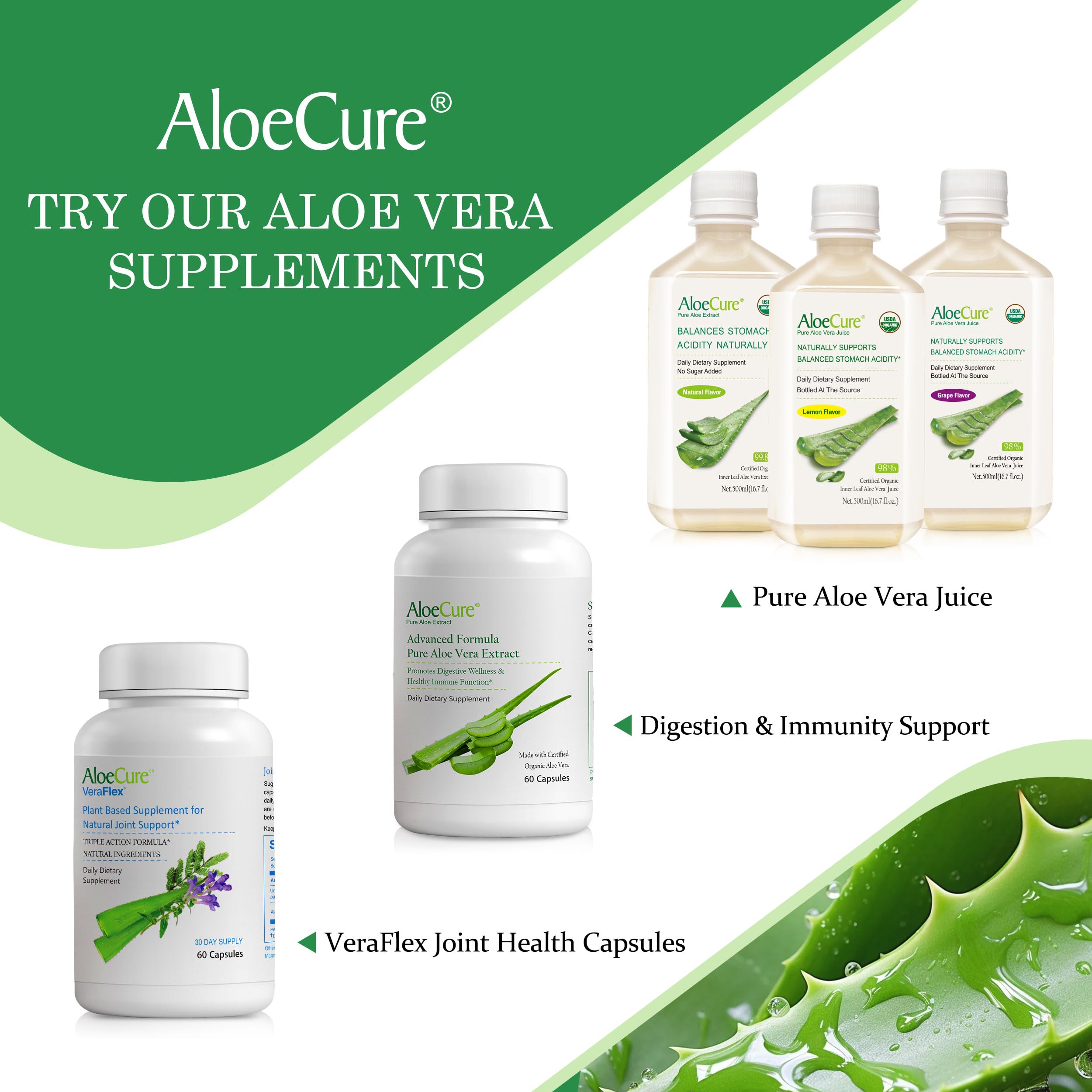 AloeCure Daily Probiotics 10 Billion CFU for Digestive Support 8 Strains, 6 Prebiotics & Enzymes - Digestive Supplement with Bromelain for Women & Men
