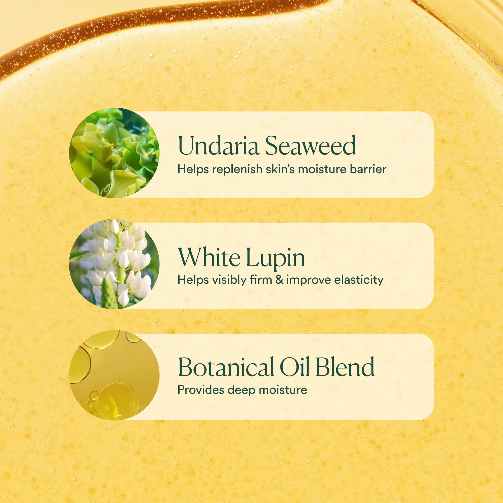 OSEA Undaria Algae Body Oil 5 oz – Visibly Firming, Deeply Moisturizing, Instantly Improve Elasticity
