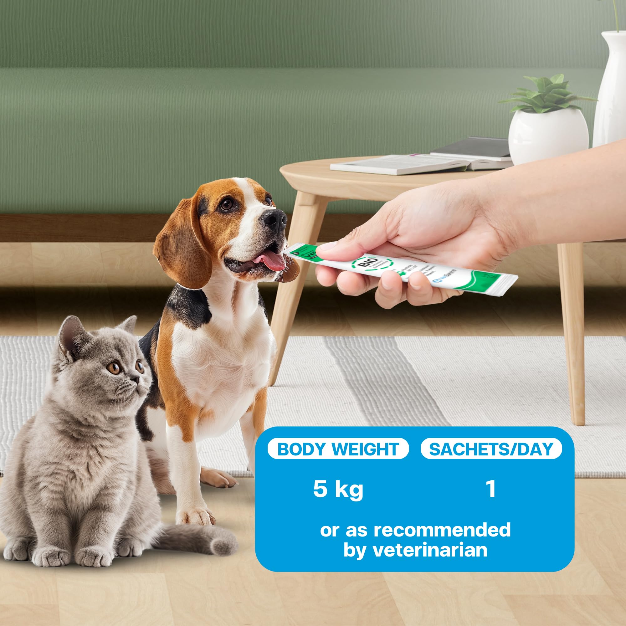 VFcare BIO Supplement for Cats & Dogs – Anti Diarrhea for Dogs, Gut Health Paste with Postbiotics, Prebiotics, FOS, L-137, Yeast Extract – Anti Diarrhea for Dogs, 30 Sachets VFCARE Au supplements
