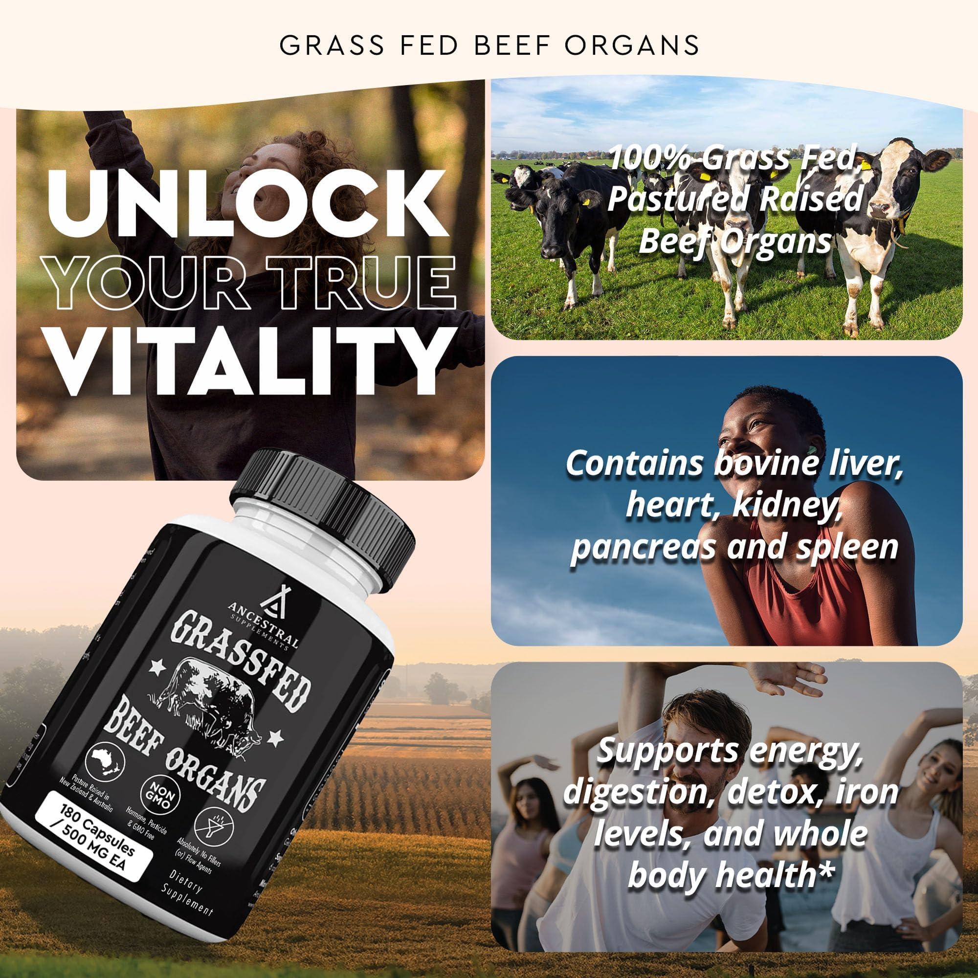 Ancestral Supplements Grass Fed Beef Organ Supplement, Supports Whole Body Wellness with Proprietary Blend of Liver, Heart, Kidney, Pancreas, Spleen, Freeze-Dried Beef, Non-GMO, 180 Capsules Ancestral Supplements Au supplements