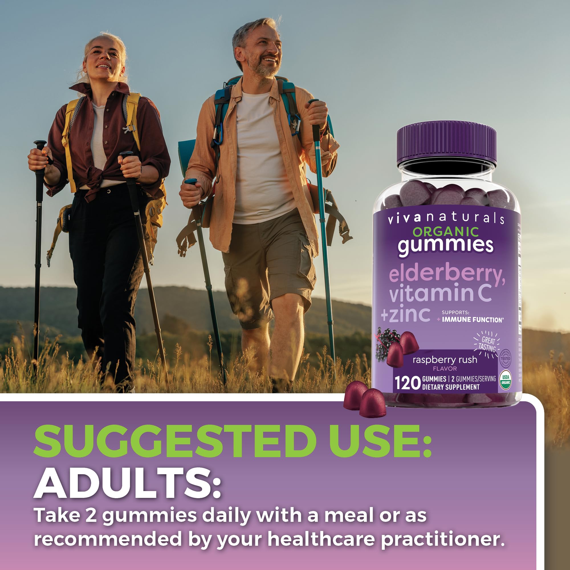 Viva Naturals Sambucus Elderberry Gummies for Adults - 150mg Black Elderberry Vitamin C and Zinc, 3-in-1 Daily Immune Support Gummies, Raspberry Rush Flavor