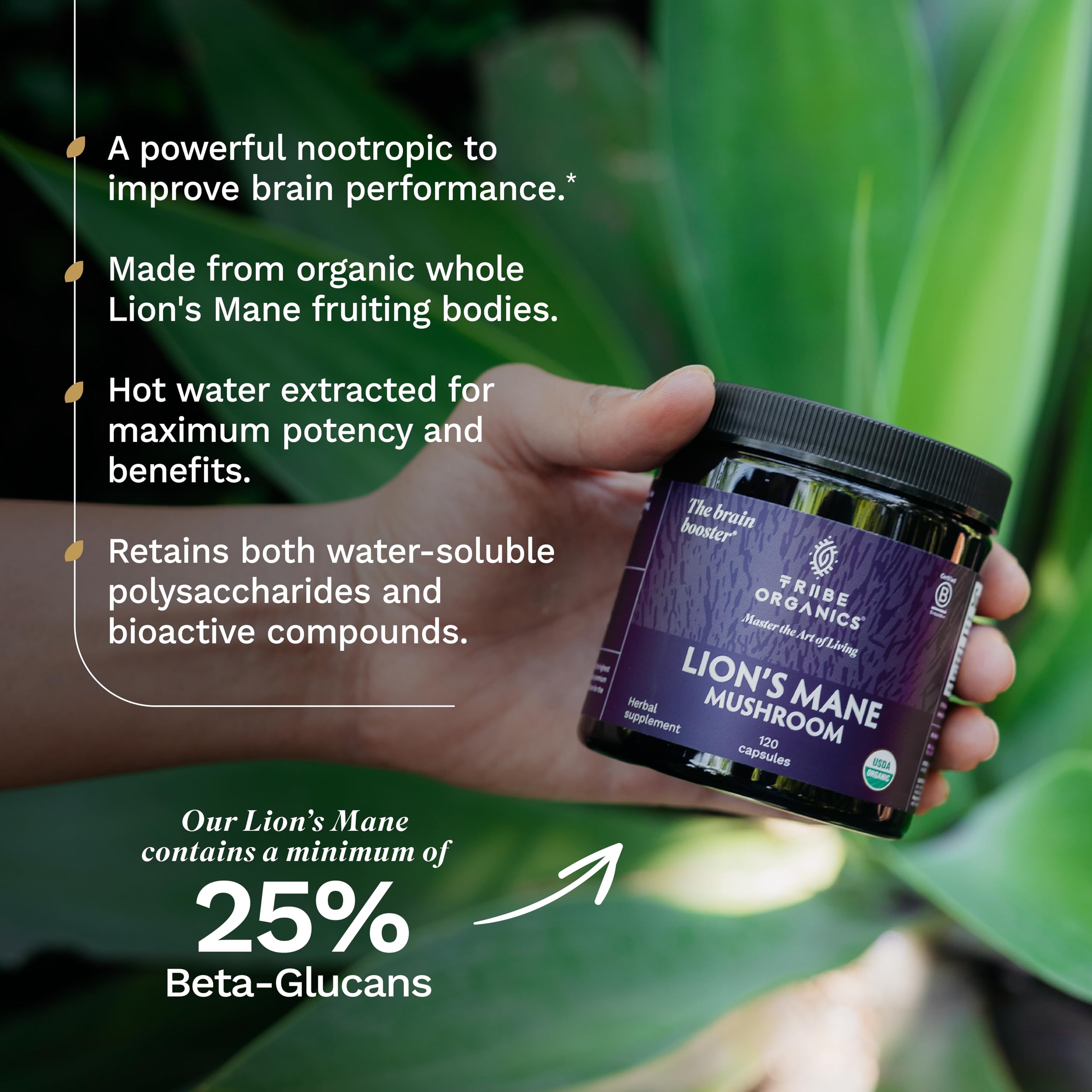TRIBE ORGANICS Lion’s Mane Supplement 1000mg Mushroom Extract Powder - Immune System Booster & Brain Nootropic for Focus and Memory | Mental Clarity | Natural Energy and Immunity - 120 Vegan Capsules TRIBE ORGANICS Au supplements