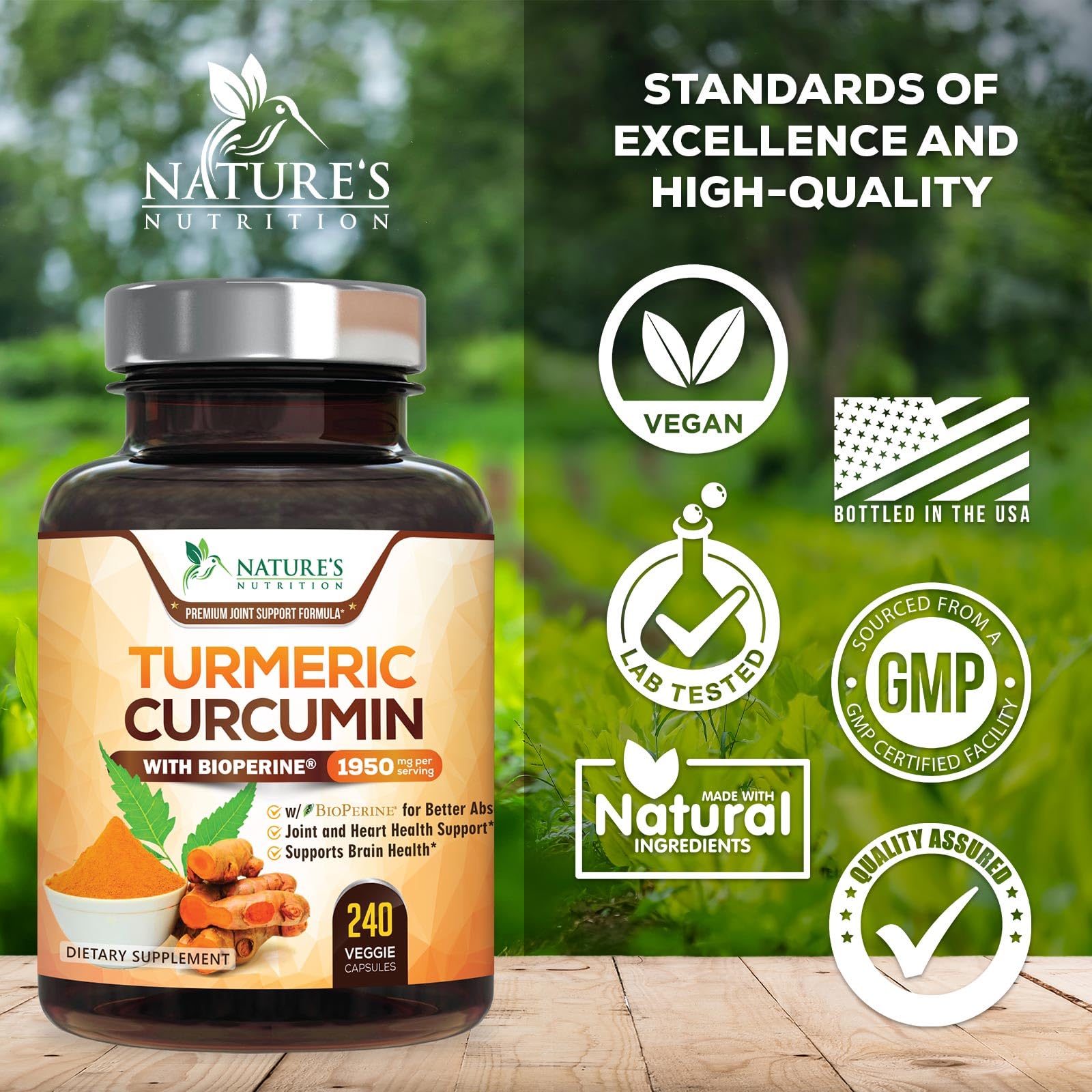 Turmeric Curcumin Supplement - 95% Curcuminoids with Organic Turmeric & BioPerine Black Pepper for Best Absorption - Daily Joint & Immune Health Support