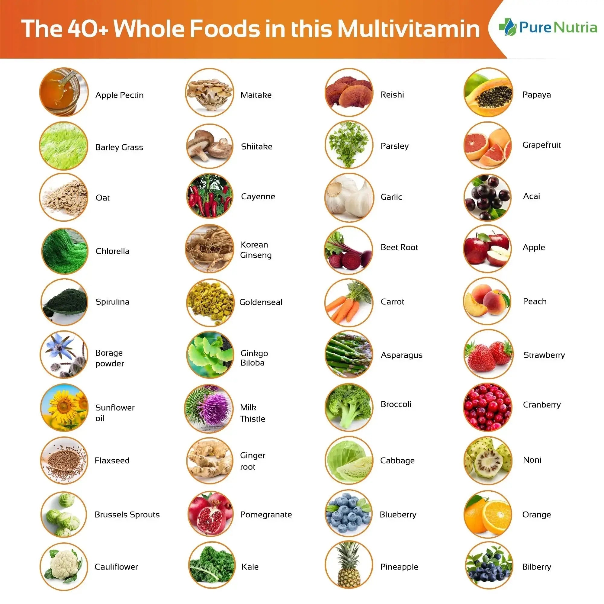 Whole Food MultiVitamin and Minerals with Probiotic Enzymes - 120 Multivitamins for Women and Men - Packed with WholeFood and Herbal Ingredients PureNutria Au supplements