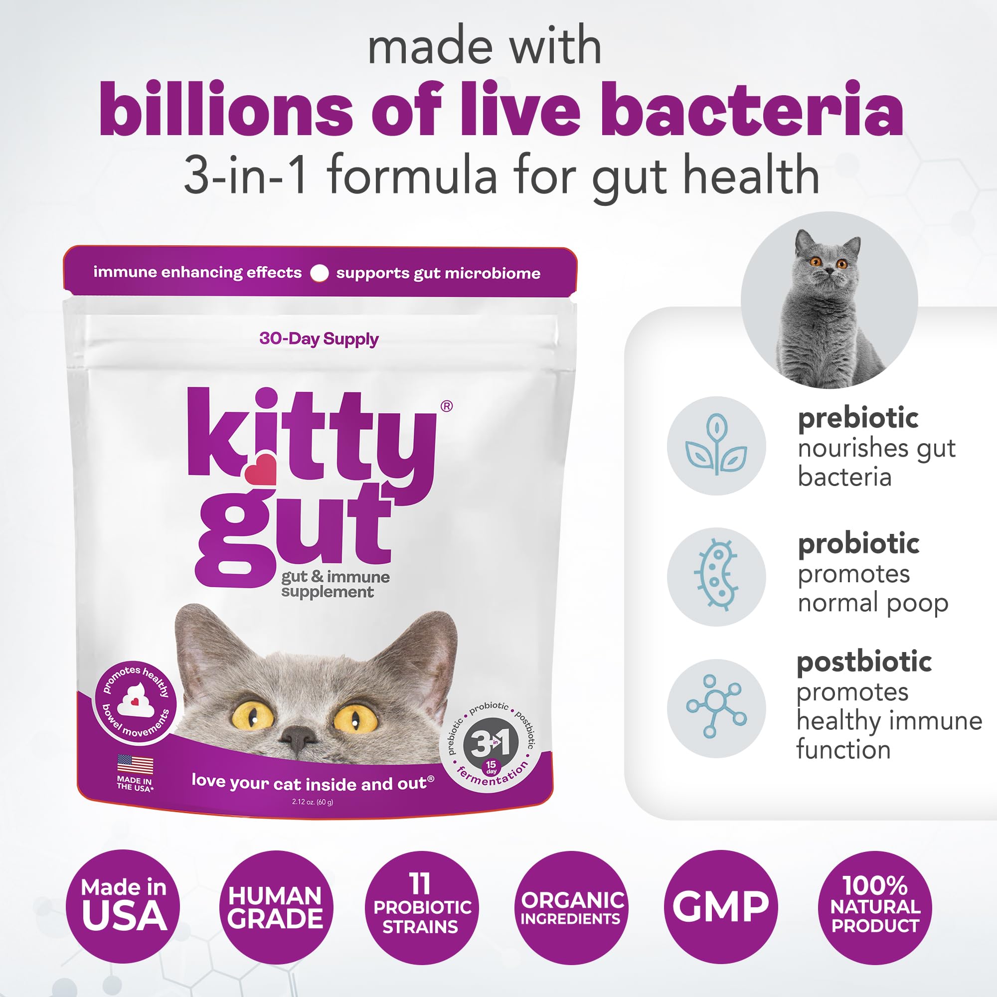 KittyGut 3-in-1 Organic Cat Probiotics & Postbiotic Supplement Powder- Made in USA-Probiotics for Cats Promote Gut Health and Cat Digestive Support, Diarrhea and Vomiting (60g) MUTTGUT Au supplements