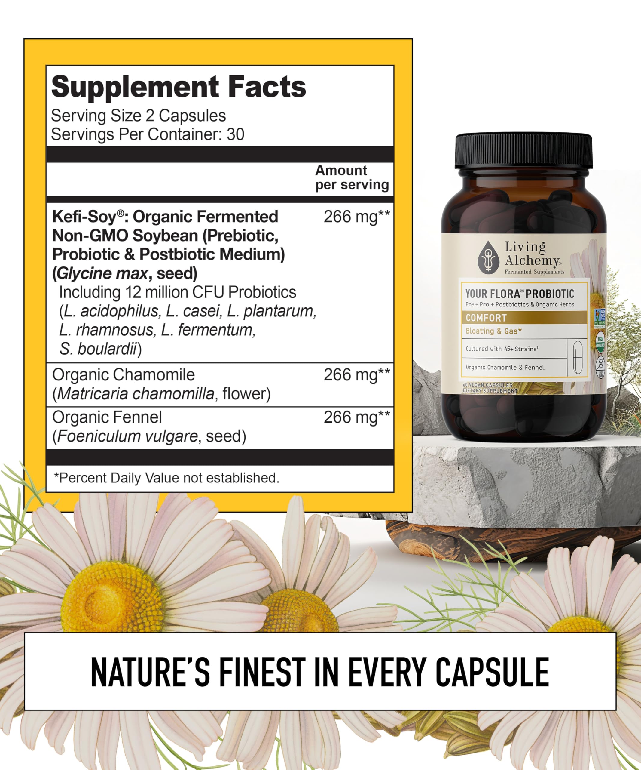Your Flora Probiotic Comfort – Non-GMO Probiotics with Fermented Soybean, Chamomile, Fennel, Prebiotics, Digestive Enzymes for Digestion & Bloating – Prebiotics, Postbiotics – Living Alchemy, 60 Pcs Living Alchemy Au supplements