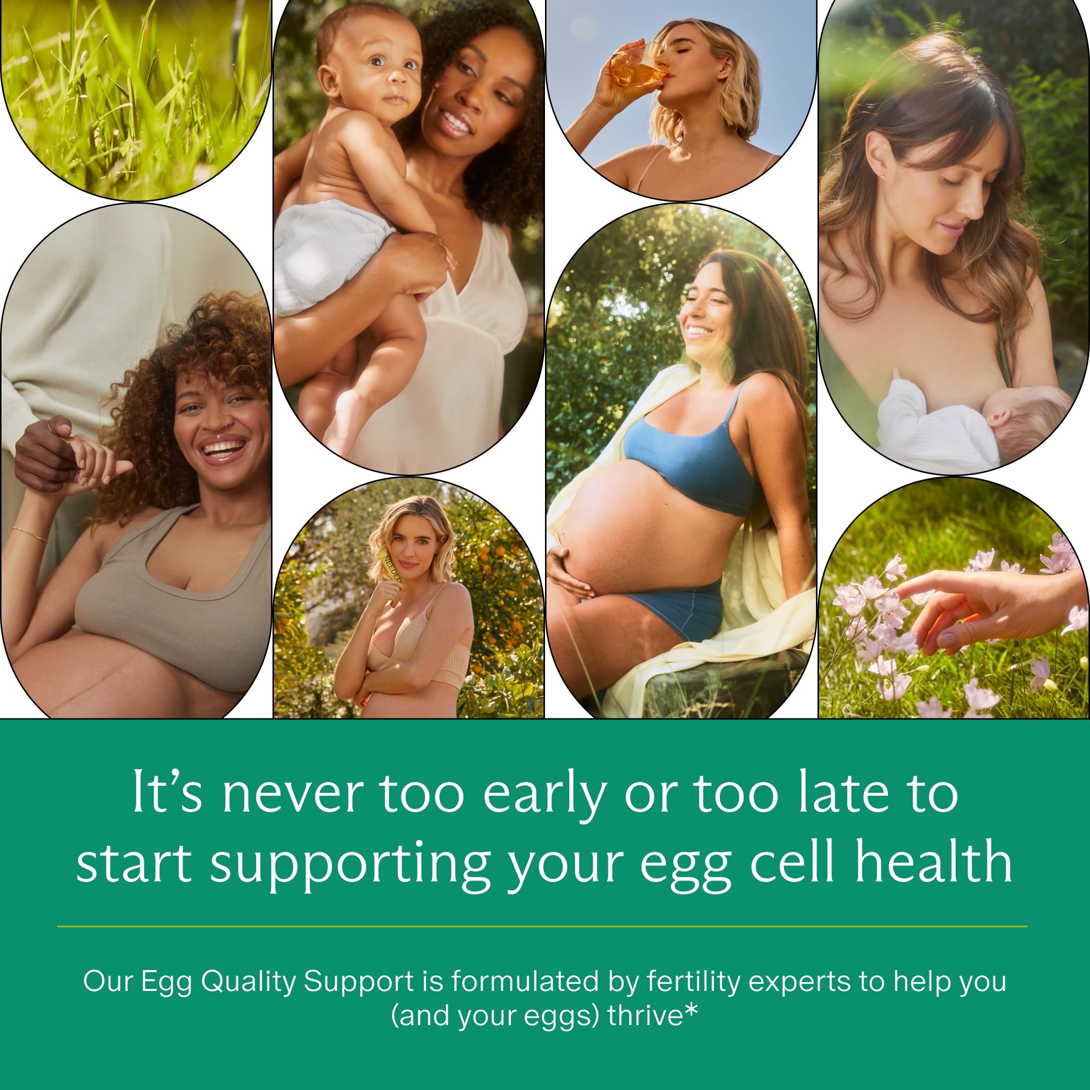 Needed. Egg Quality Support - Optimally Formulated Antioxidants Supplement for Egg Quality - Fertility Support - Fertility Supplement for Women
