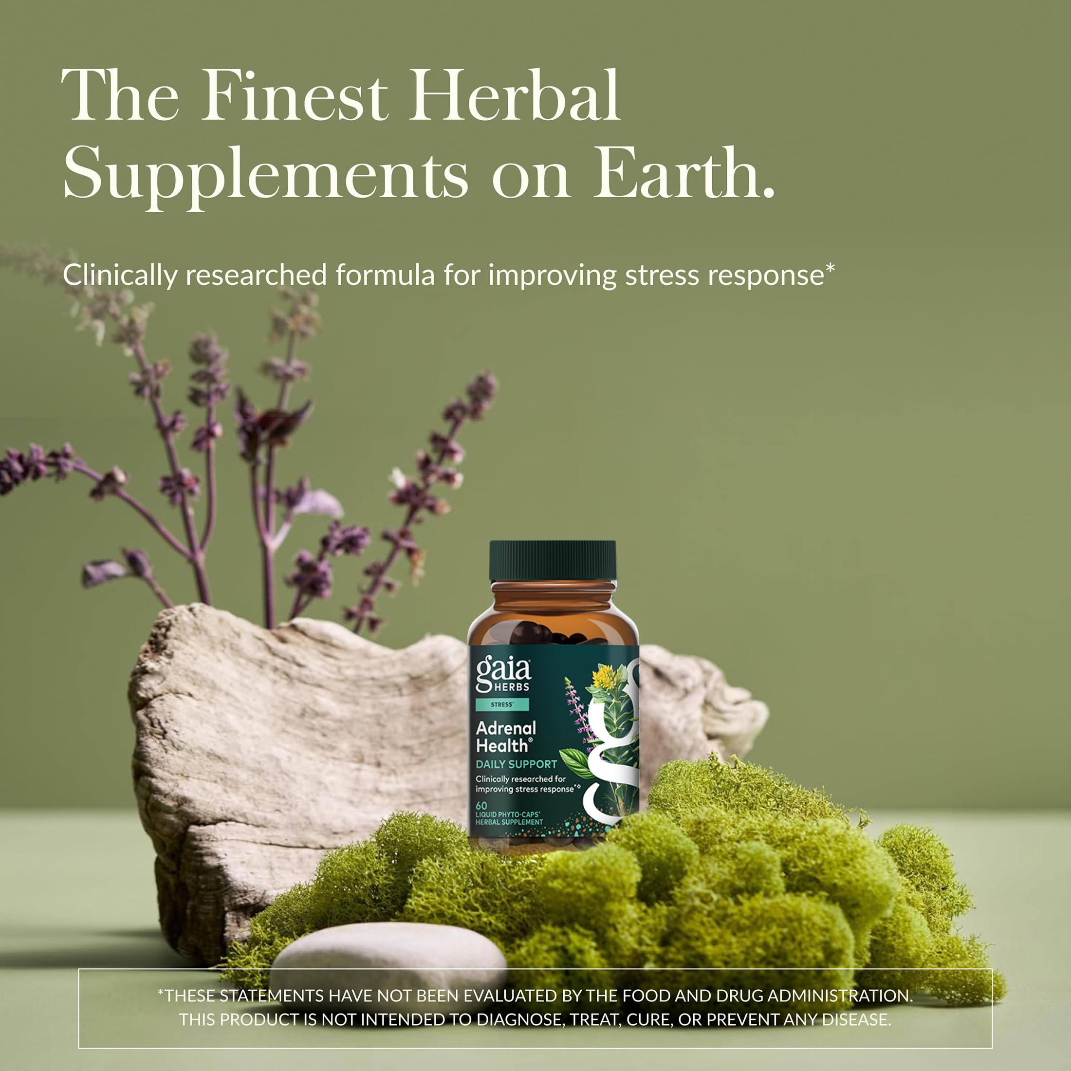 Gaia Herbs Adrenal Health Daily Support - Herbal Supplement with Ashwagandha, Holy Basil & Schisandra - Help Maintain Healthy Energy & Stress Levels* - 60 Vegan Liquid Phyto-Caps (30 Servings) Gaia Herbs Au supplements