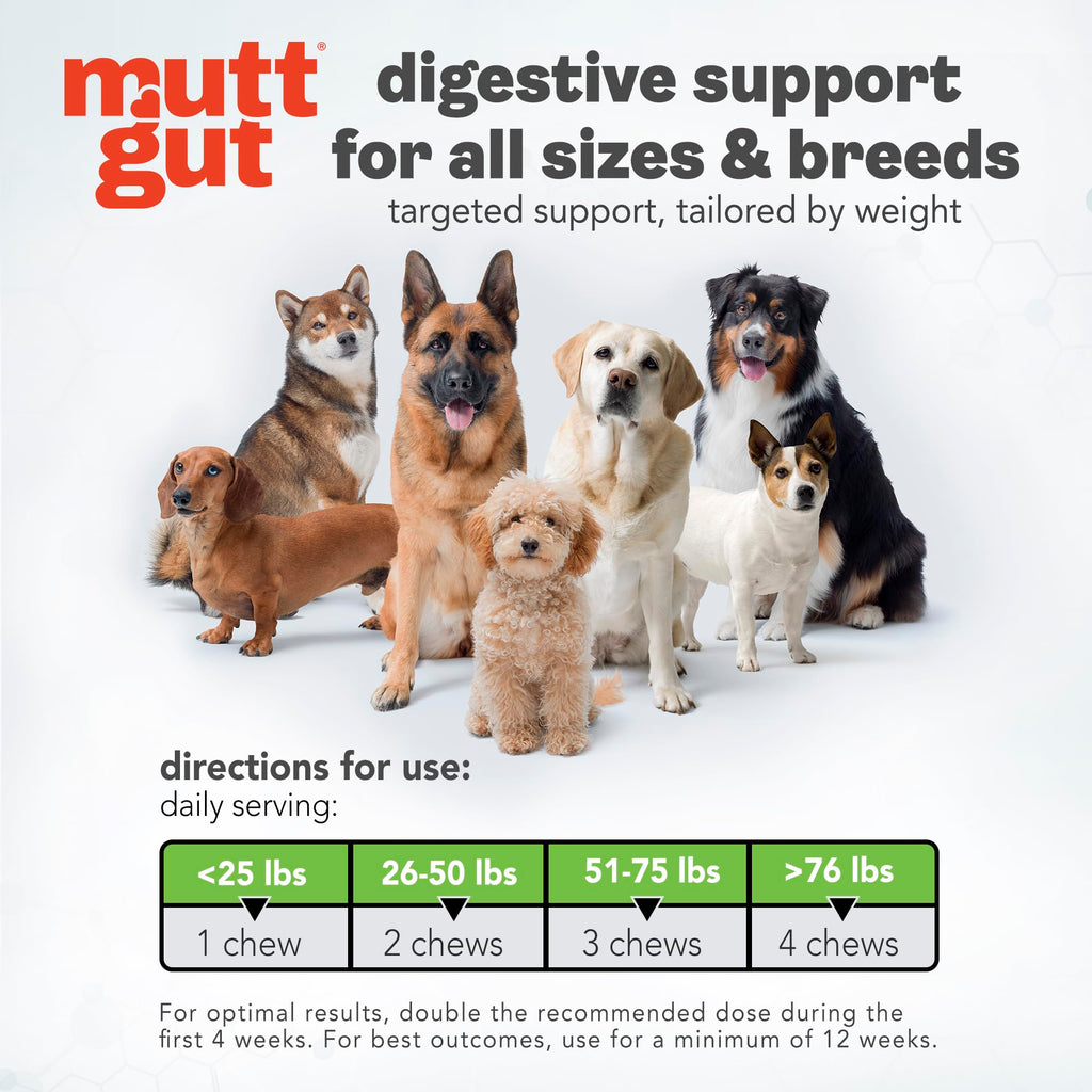 MuttGut® 3-in-1 Puppy & Dog Probiotics + Prebiotics + Postbiotics Chews - Promotes Digestive Health, Supports Immune System and Overall Health - Dog Diarrhea Relief & Immune Support - 60 Soft Chews MUTTGUT Au supplements