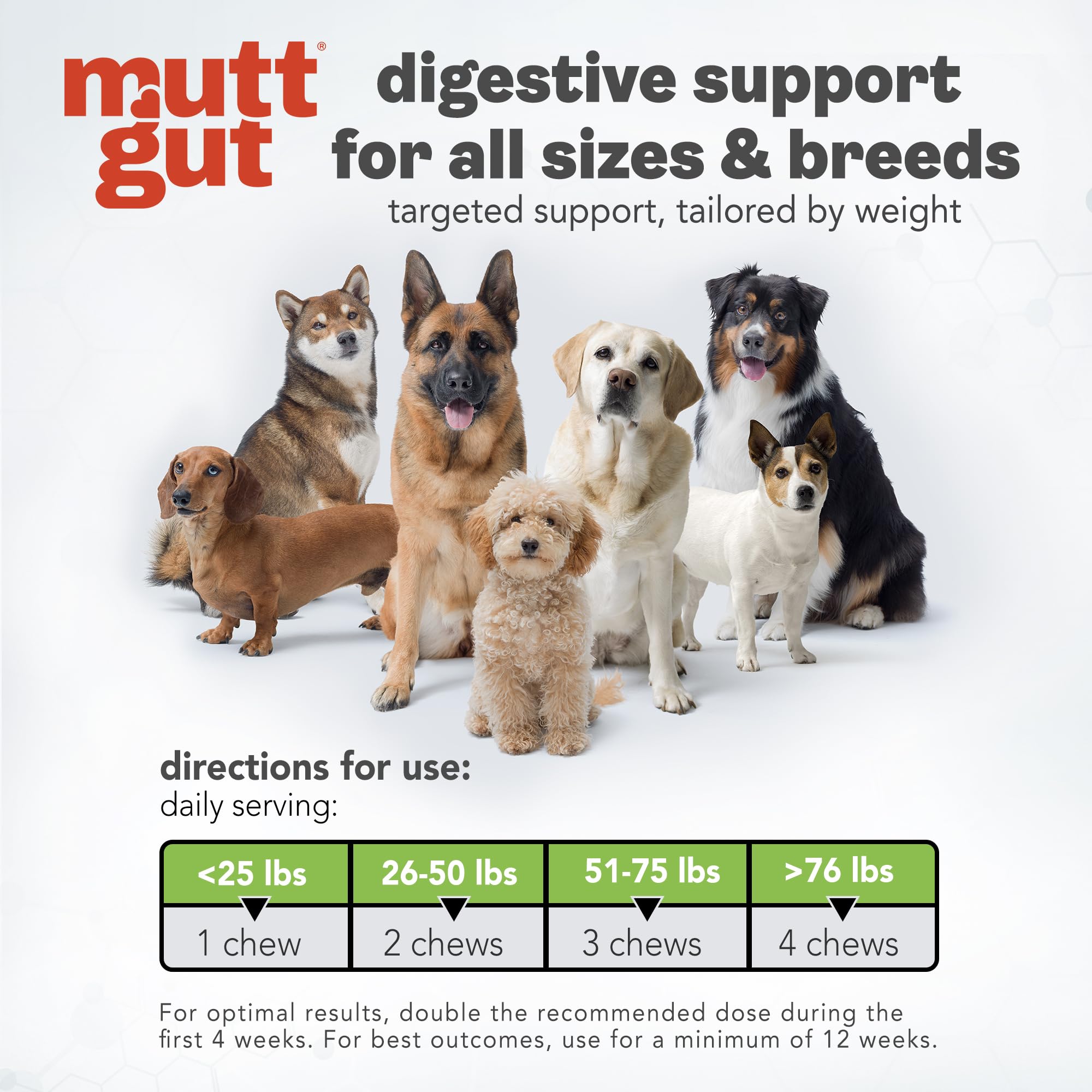 MuttGut® 3-in-1 Puppy & Dog Probiotics + Prebiotics + Postbiotics Chews - Promotes Digestive Health, Supports Immune System and Overall Health - Dog Diarrhea Relief & Immune Support - 60 Soft Chews MUTTGUT Au supplements