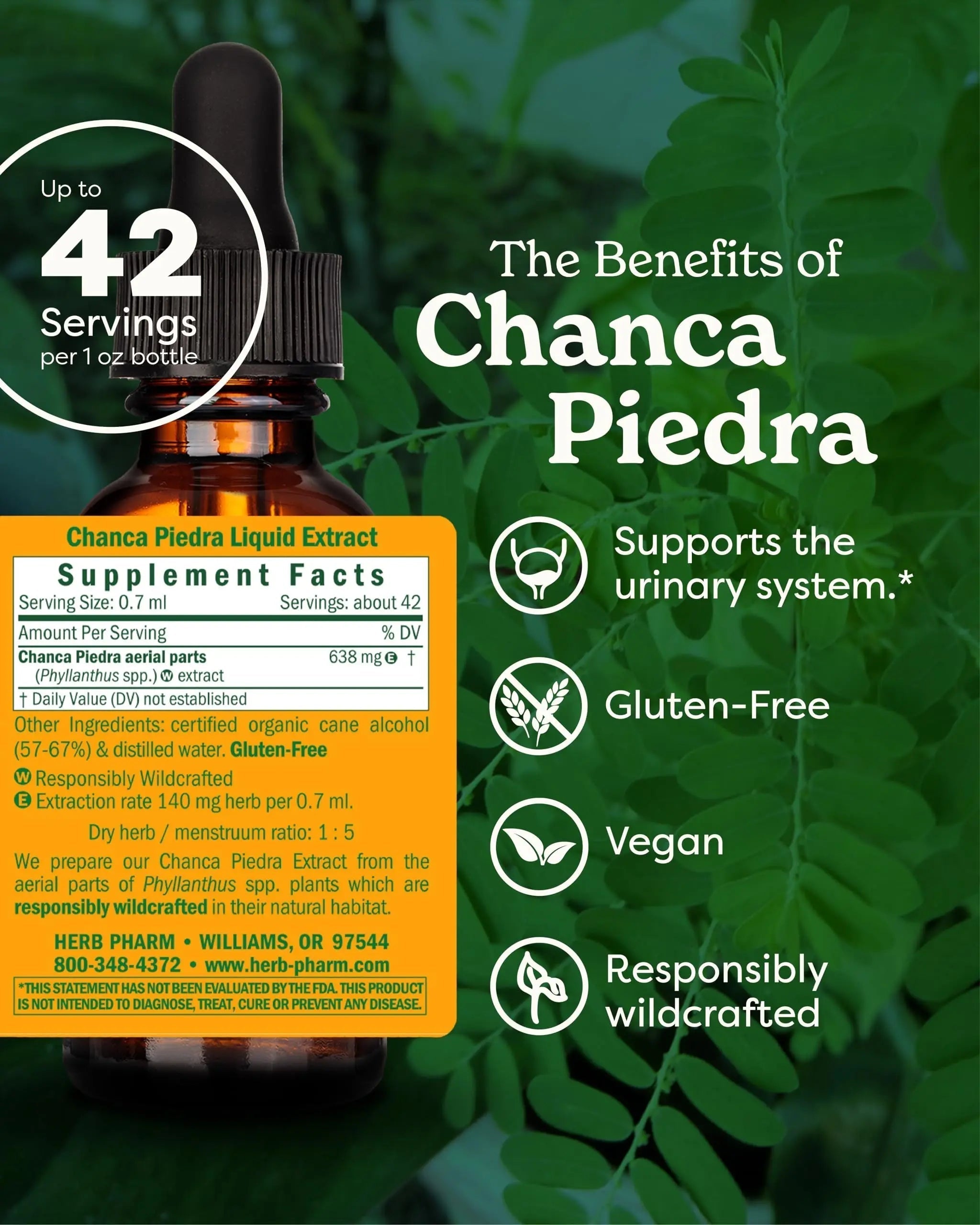 Herb Pharm Chanca Piedra Liquid Extract for Urinary System Support, 1 Fl Oz Herb Pharm Au supplements