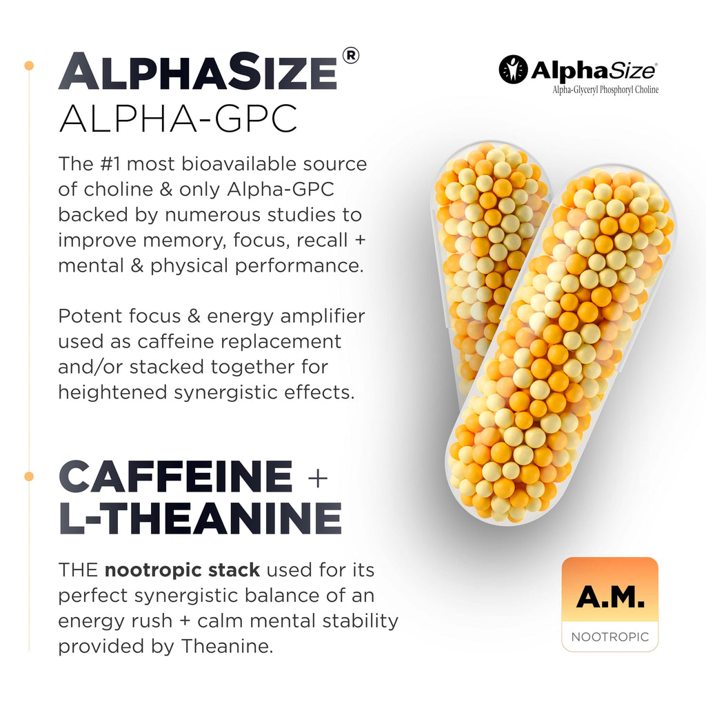 AMPM Nootropic Total Focus + Calm 9X Strength w. Caffeine, L-Theanine, Alpha GPC, L-Tyrosine, Ashwagandha - X-Release Energy Pills Nootropics Brain Support Supplements for Memory and Focus Supplement TERRA ELMNT Au supplements