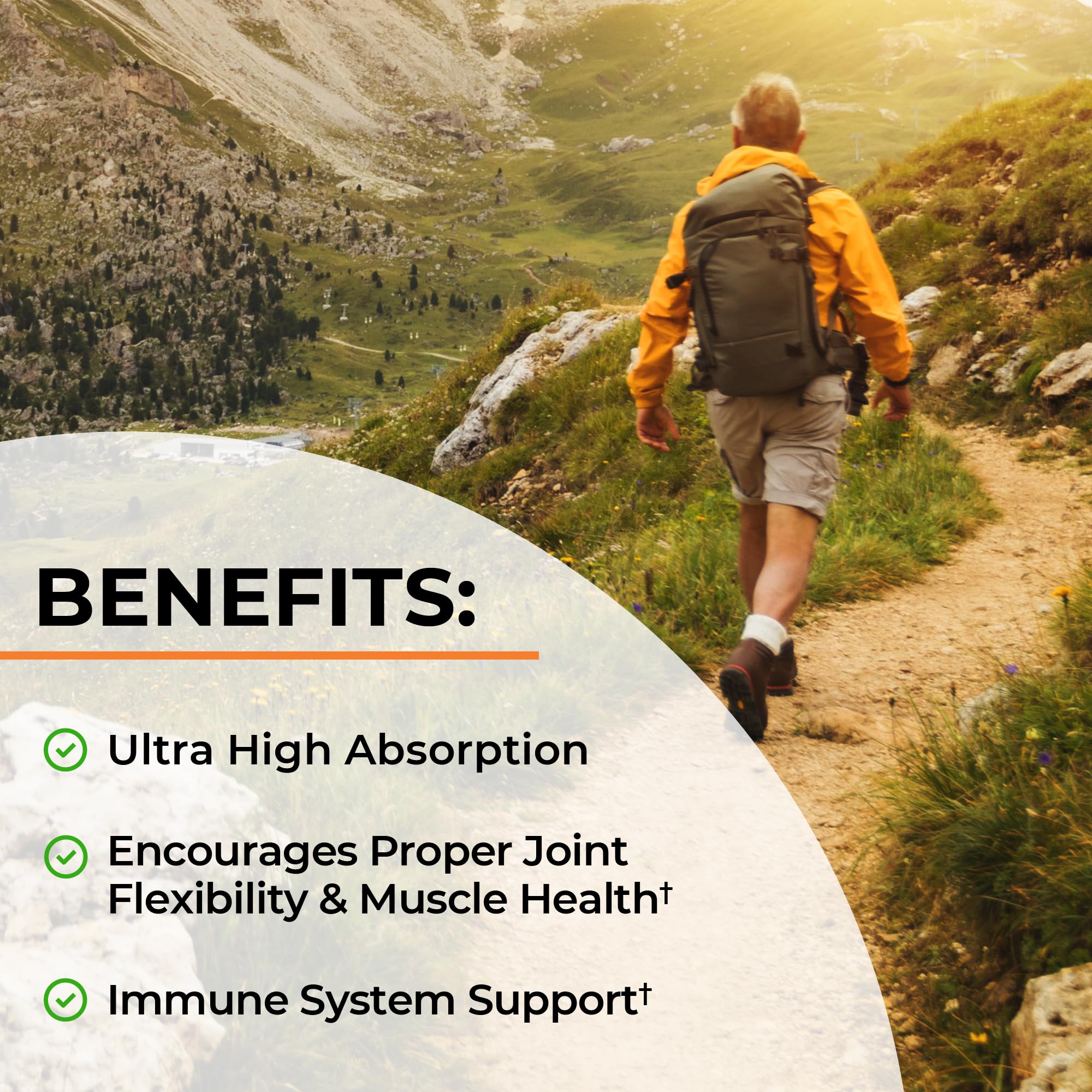 Turmeric Curcumin with Black Pepper Extract 1500mg - High Absorption Ultra Potent Turmeric Supplement with 95% Curcuminoids and BioPerine