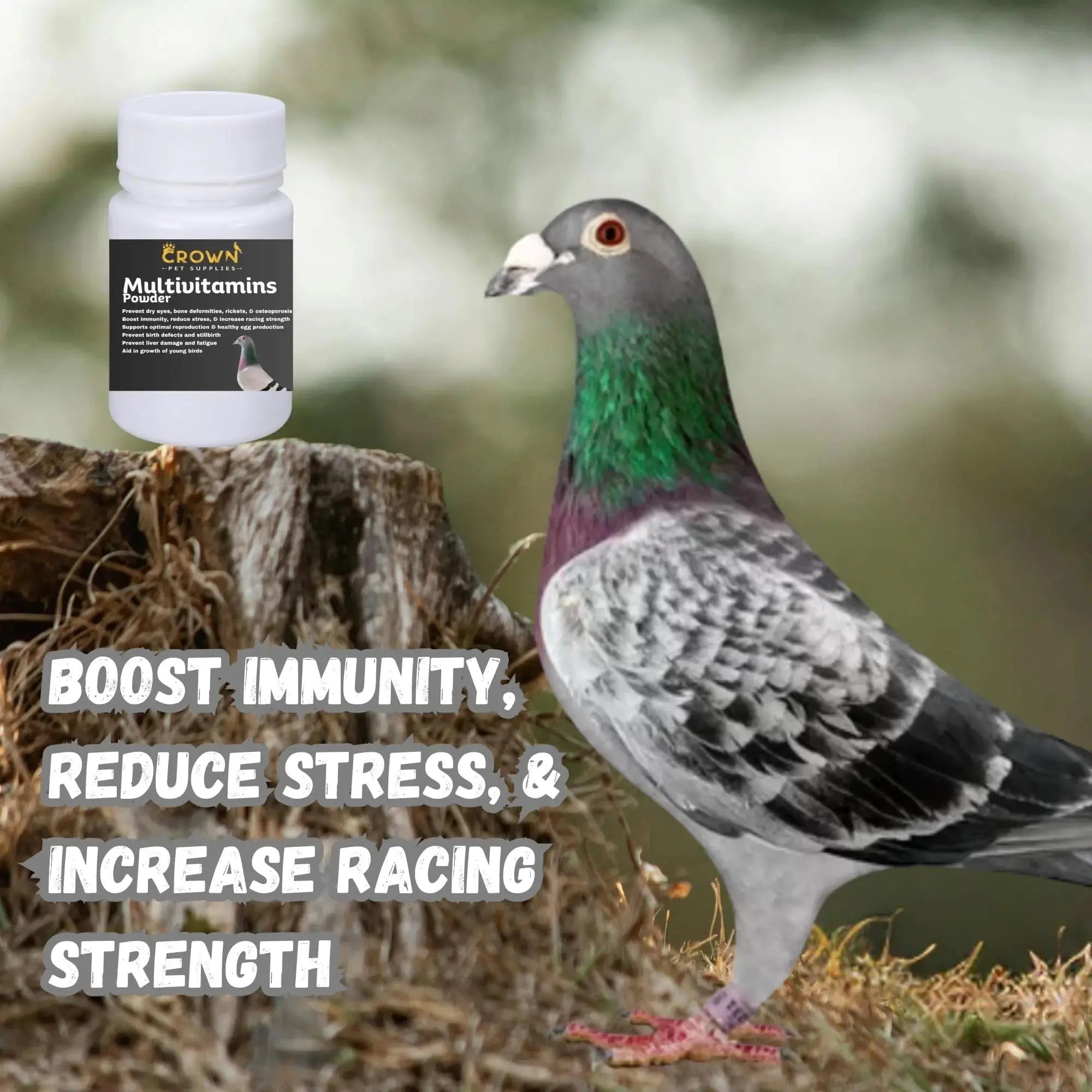 Multivitamin Powder for Pigeons – Ultimate Vitamin Formula for Racing & Breeding – Supports Growth, Bone Strength, Reproductive Health & Feather Health Crown Pet Supplies Au supplements