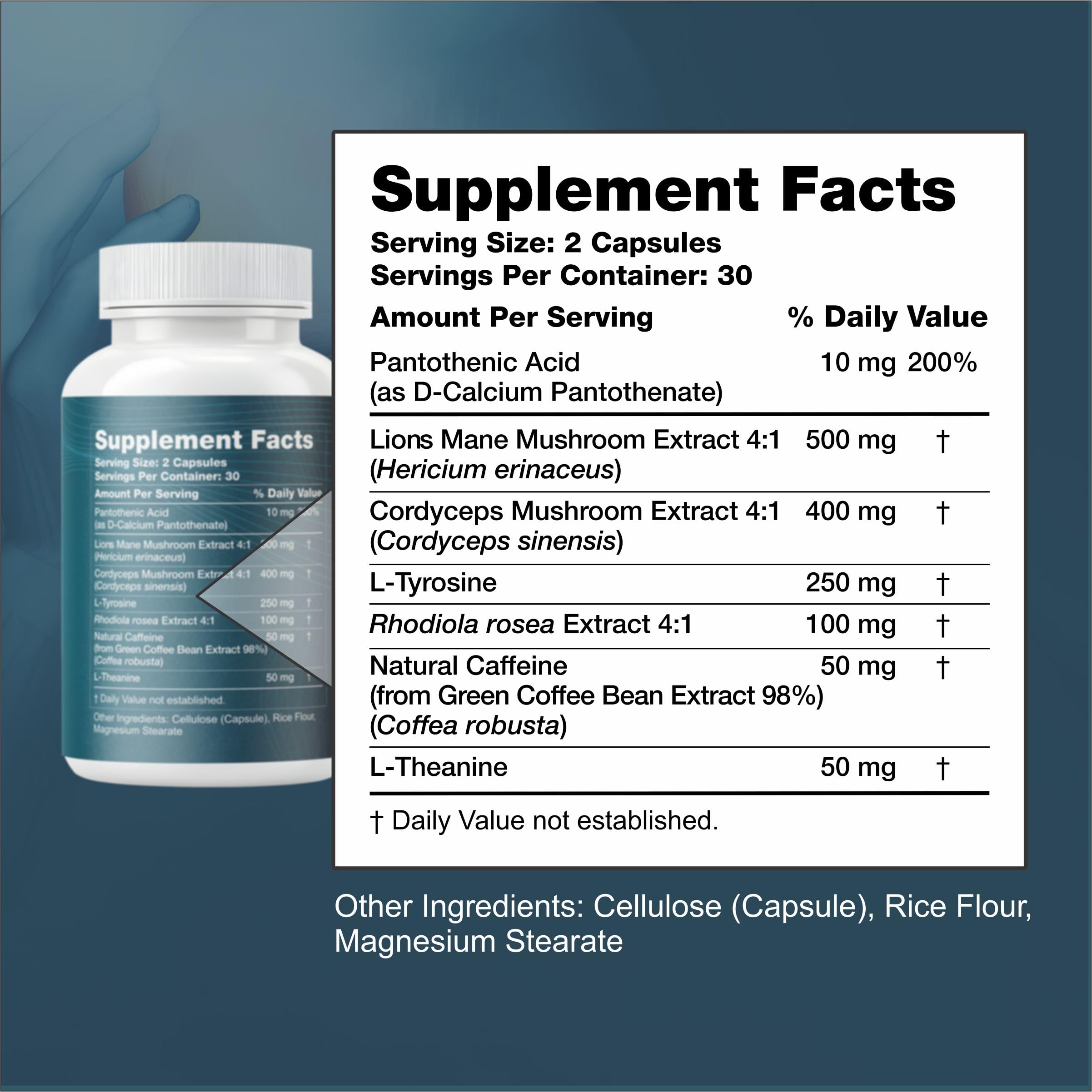 Nootropic Brain Supplement with Lion’s Mane Mushroom, Cordyceps & Rhodiola Rosea Extract - Focus and Energy Supplement, Adaptogen for Brain Health, Mental Clarity, Memory & Mood Support - 60 Capsules Reset+Rise Au supplements